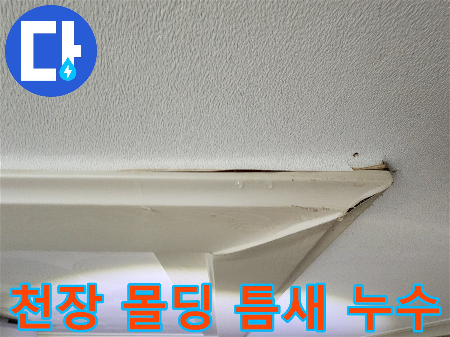 물기가 배어 나온 천장 몰딩과 주변 벽지 상태
