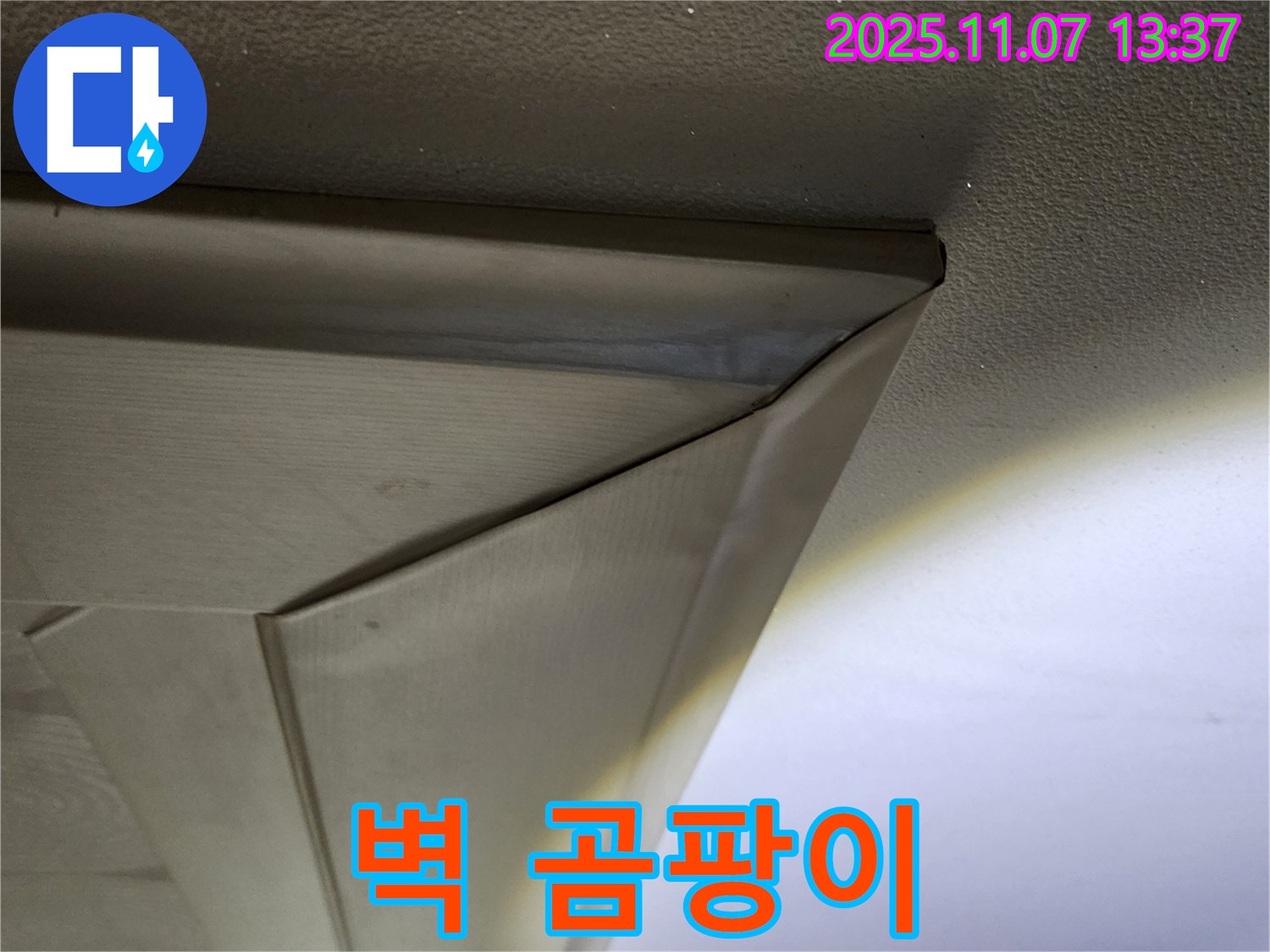 송산2동 천장 누수 - 꺾임 몰딩과 벽 사이 곰팡이 - 건강 위협, 누수 해결 필수
