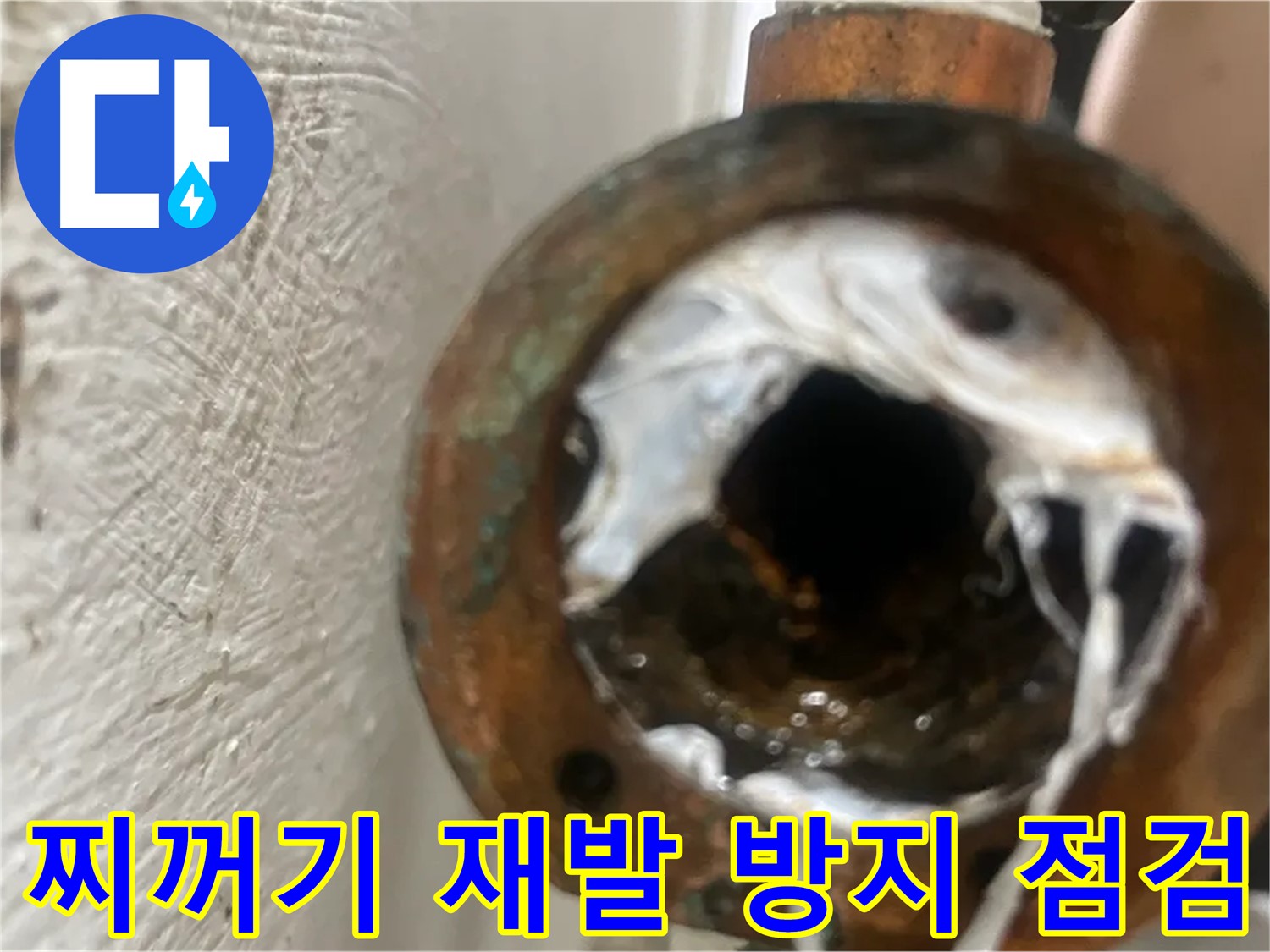 신월동 누수 해결 - 하얀 찌꺼기 재발 방지 꼼꼼 점검
