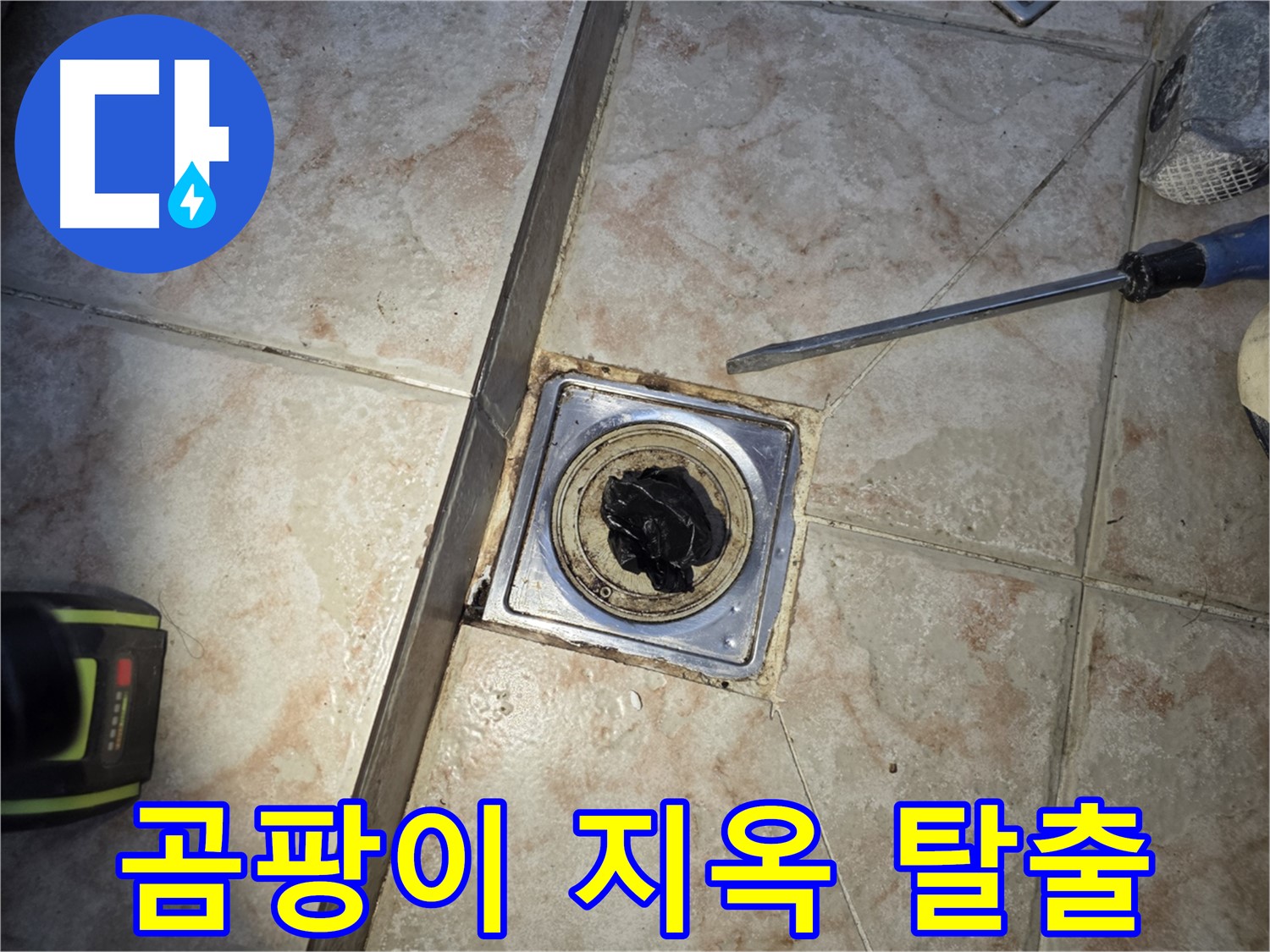 곰팡이로 뒤덮인 욕실 유가 - 곰팡이 지옥