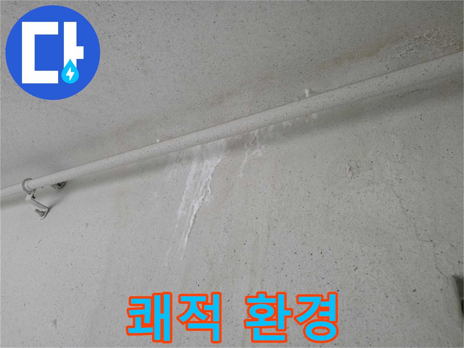 안양 누수 - 쾌적한 생활 환경을 위한 곰팡이 제거 및 습기 제거 서비스