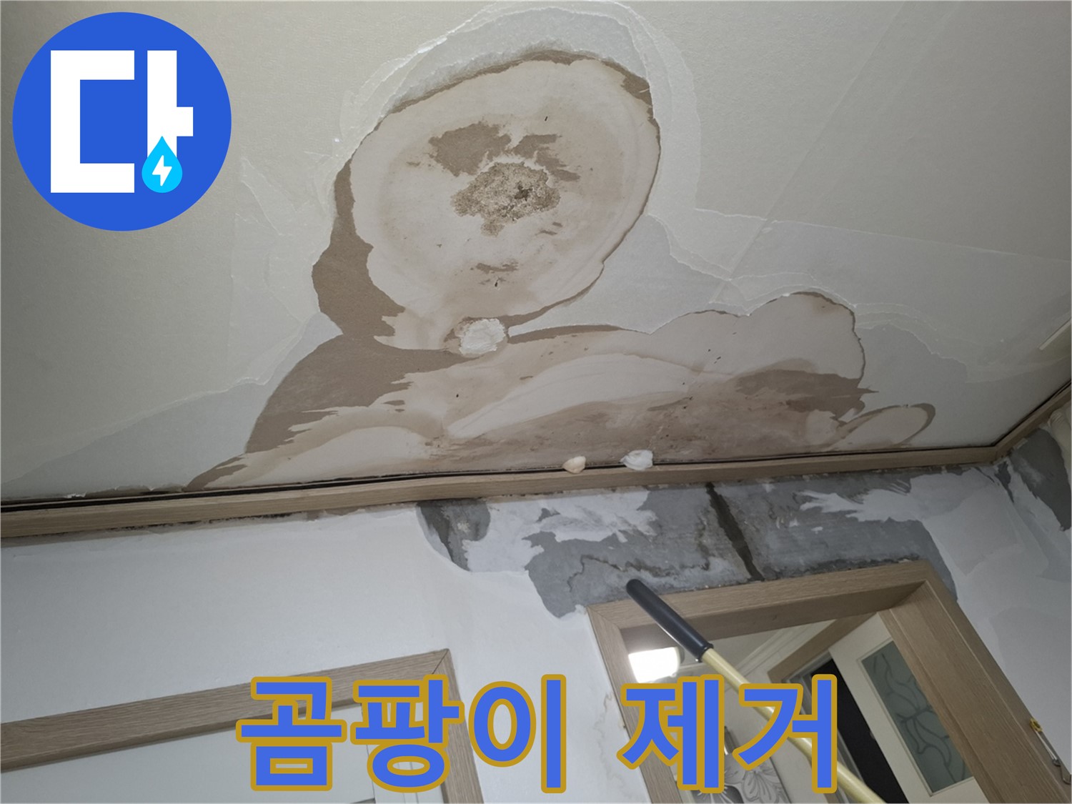 곰팡이 핀 석고보드 제거 - 쾌적한 실내 환경으로!
