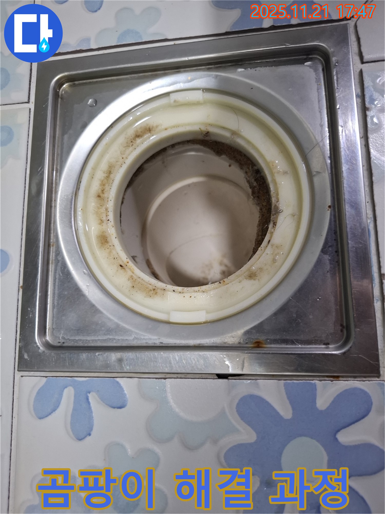 관악구 신림동 배수구 - 곰팡이 해결을 위한 배수구 청소 과정