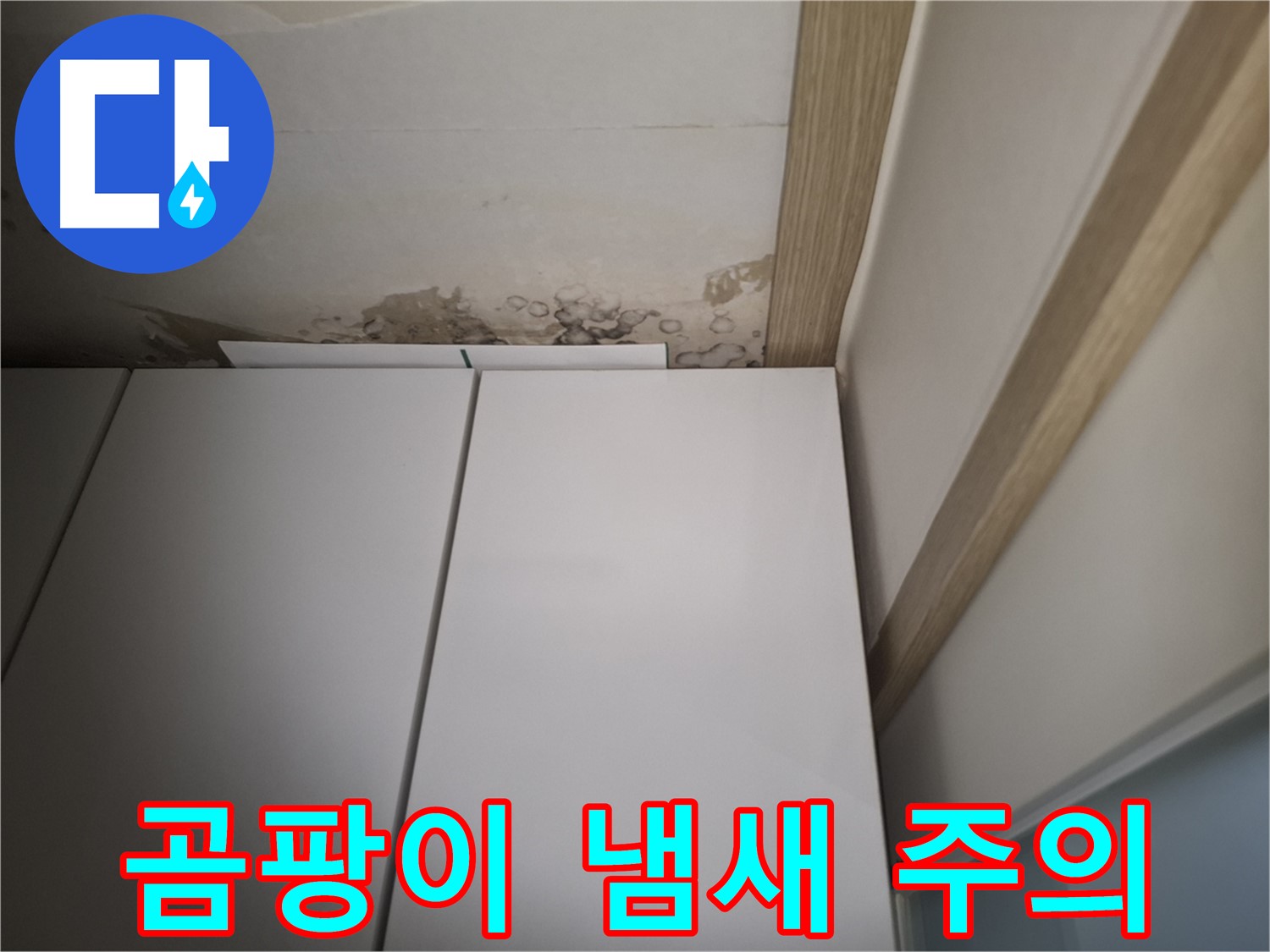 붙박이장 위 천장 누수로 인해 곰팡이 냄새가 나는 상황 - 건강에 해로울 수 있습니다.