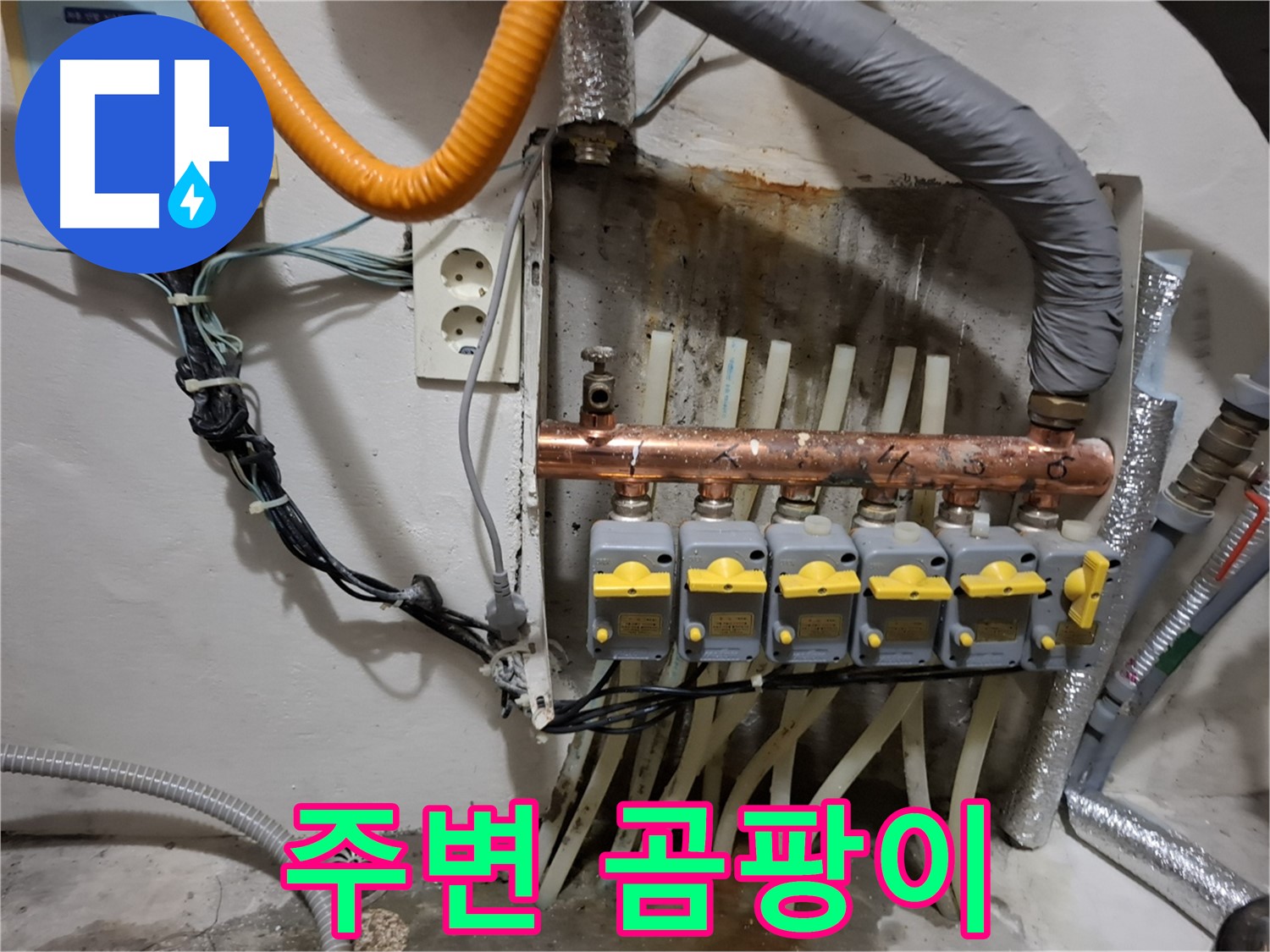 신림동 - 누수 현장에서 - 낡은 분배기 주변에 - 곰팡이가 심하게 피어 있습니다.