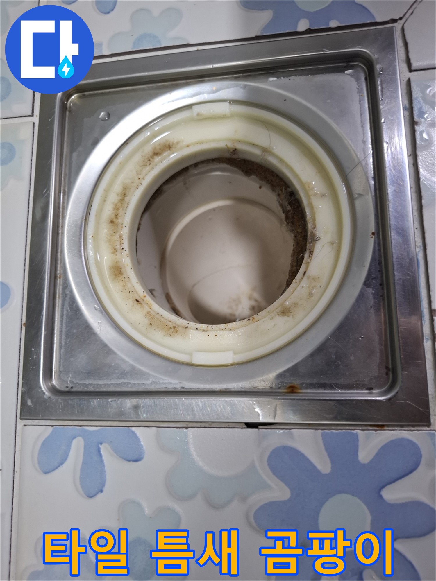 욕실 배수구 주변 타일 틈새 검은 곰팡이 - 누수