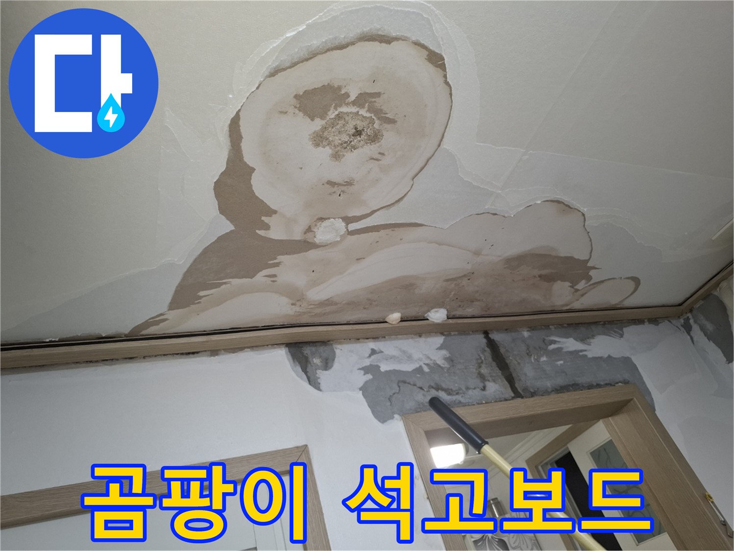 젖은 석고보드와 곰팡이 - 완벽 제거 및 재발 방지!
