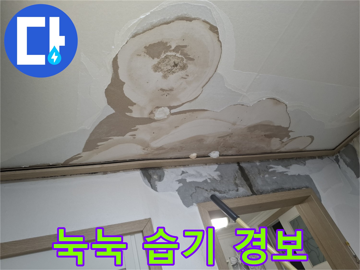 천장이 눅눅한 습기로 가득, 곰팡이 아파트 경보 발령!