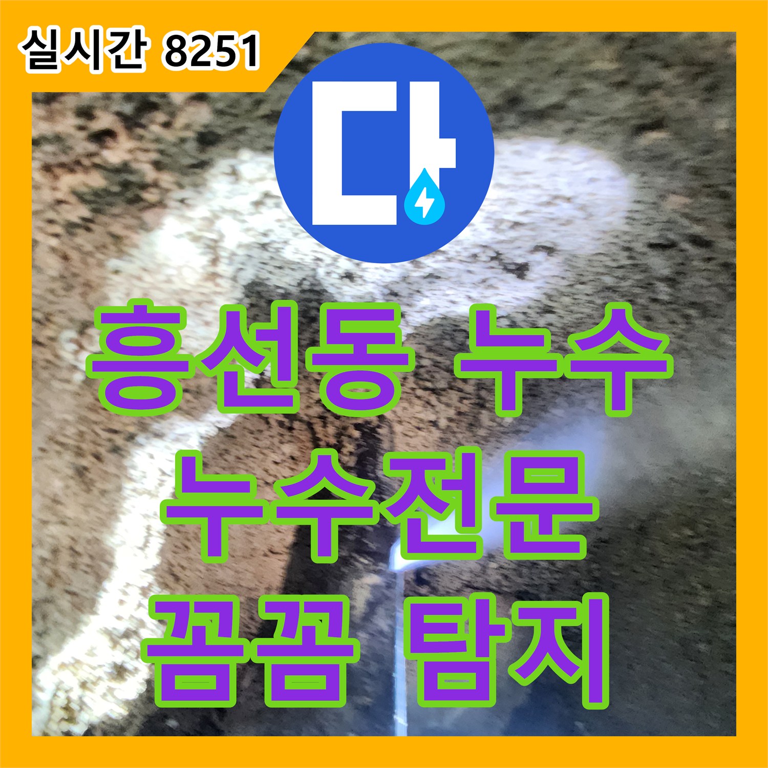 흥선동 누수전문, 꼼꼼한 탐지로 숨은 누수 해결