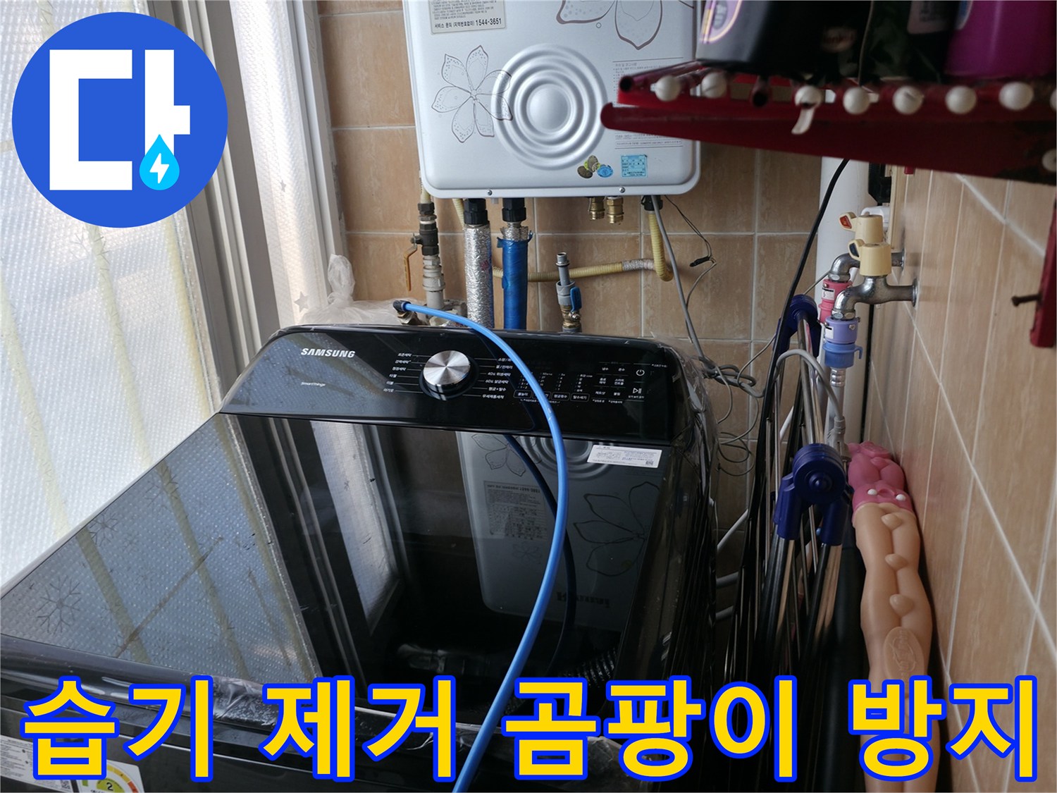 습기 제거 및 곰팡이 방지 - 누수 후 습기 제거 및 곰팡이 방지 작업 진행