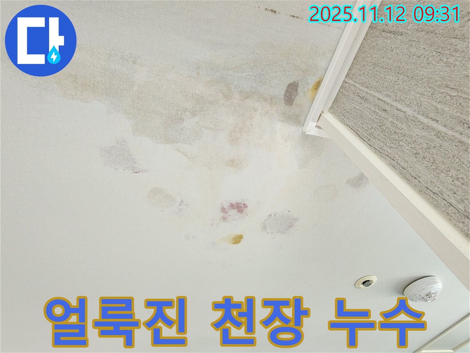 경기도 포천시 소흘읍 누수 - 얼룩진 천장, 빠른 연락 요망