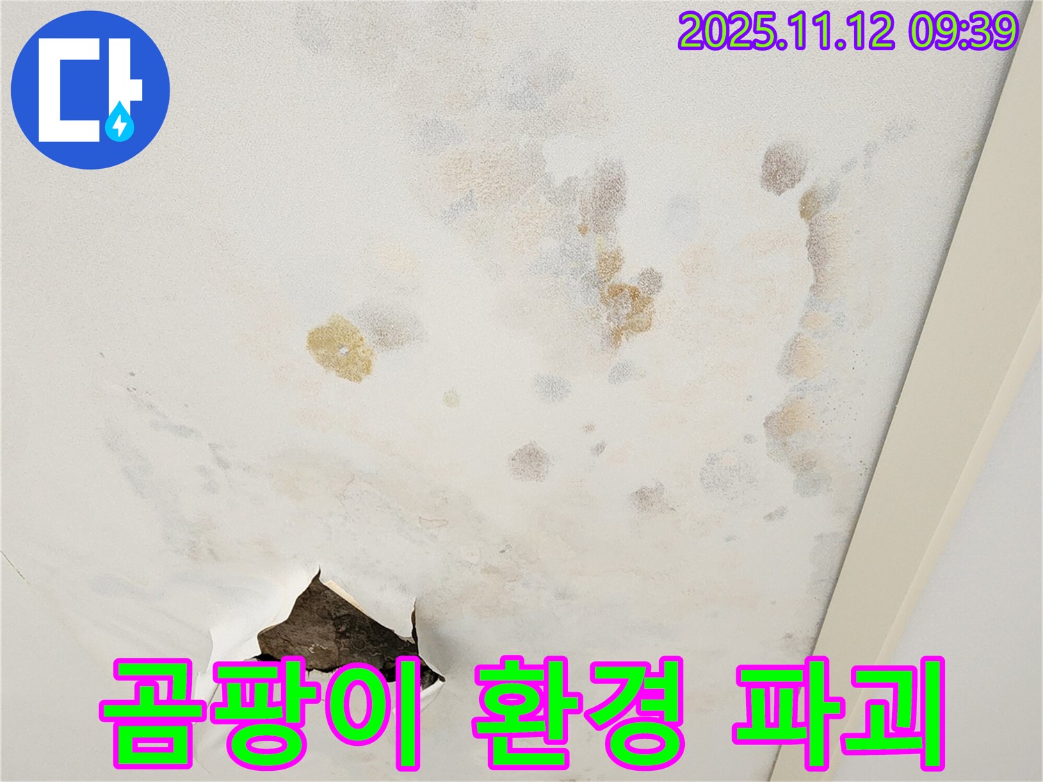 곰팡이 천장 - 환경 파괴 - 쾌적한 공간