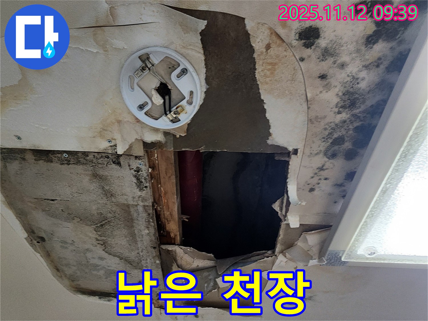 낡고 손상된 천장 - 누수로 인해 낡고 손상된 천장, 교체 및 산뜻한 새로운 단장이 필요합니다