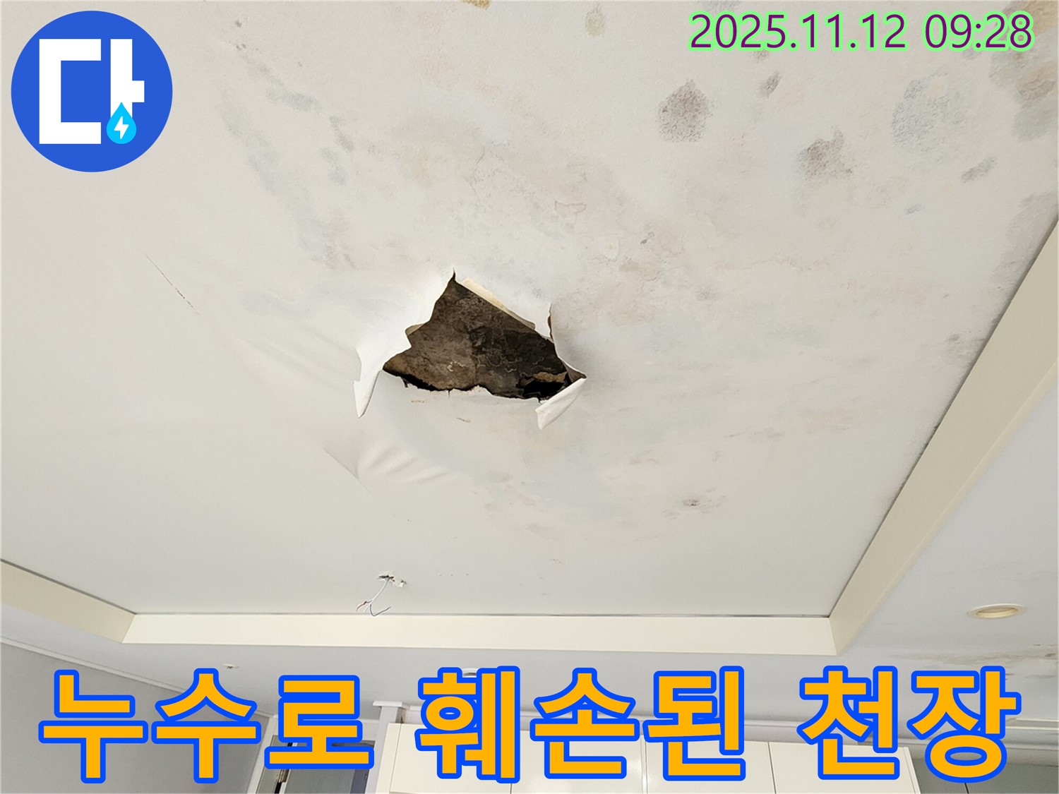 누수로 훼손된 천장 - 누수로 인해 천장 벽지가 찢어지고 변색된 모습입니다.