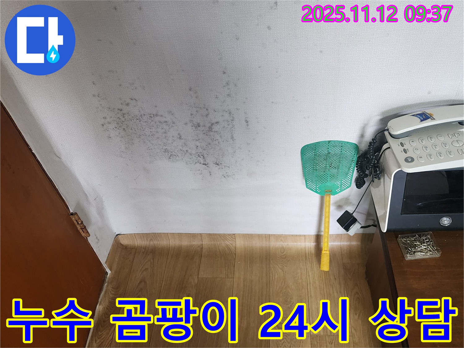 누수와 곰팡이 해결 - 전문 장비로 누수탐지, 꼼꼼한 곰팡이 제거로 완벽 해결! 24시간 상담 가능!