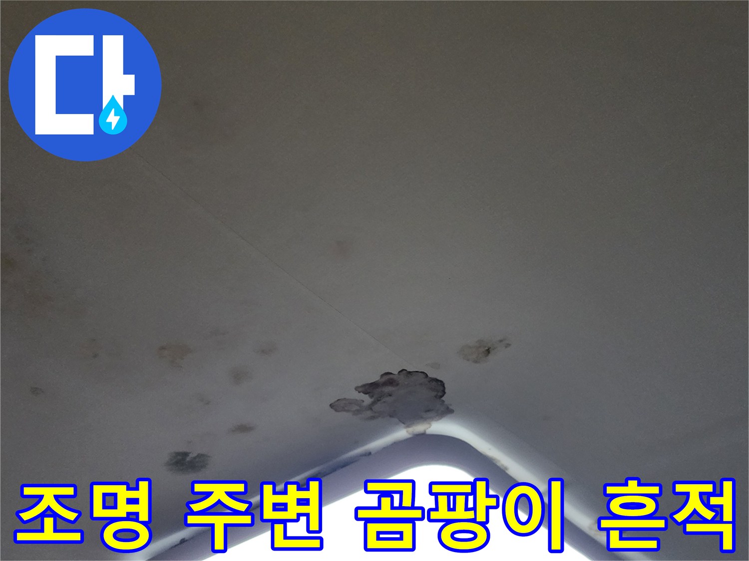 매립 배관 문제로 의심되는 천장 조명 부근의 곰팡이 현상