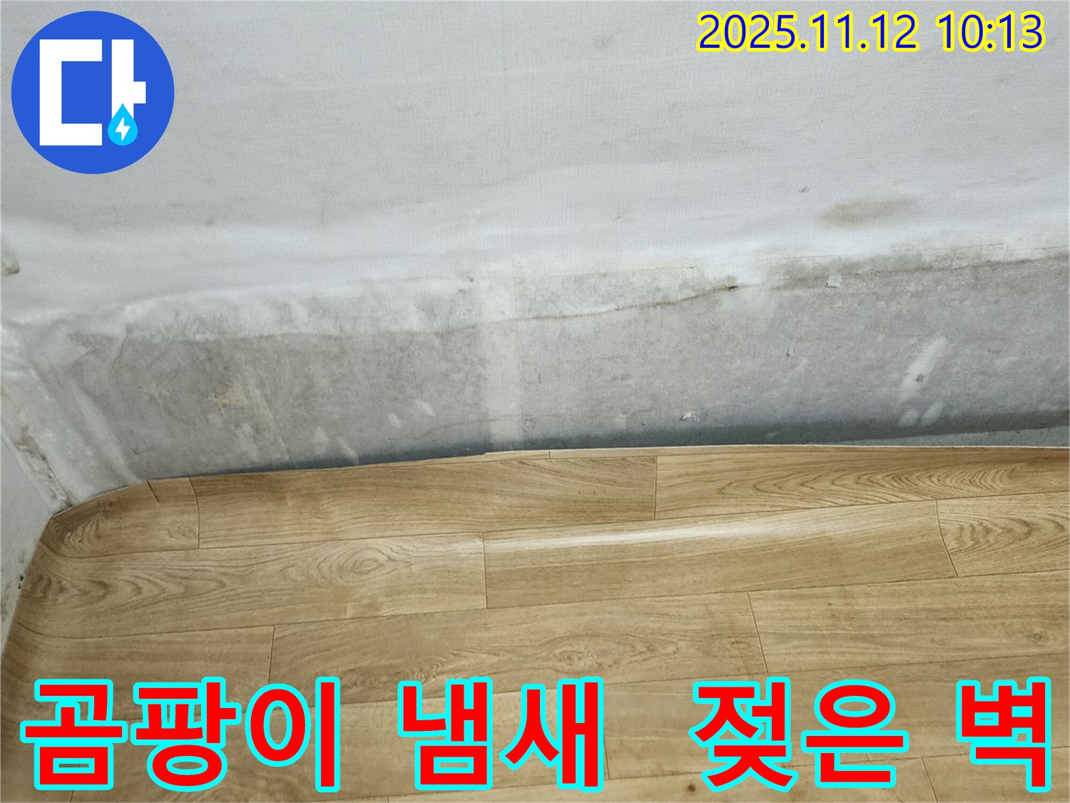 무봉리 누수 현장 - 곰팡이 냄새와 젖은 벽은 누수 초기 증상일 수 있습니다 - 빠른 점검이 필요합니다.