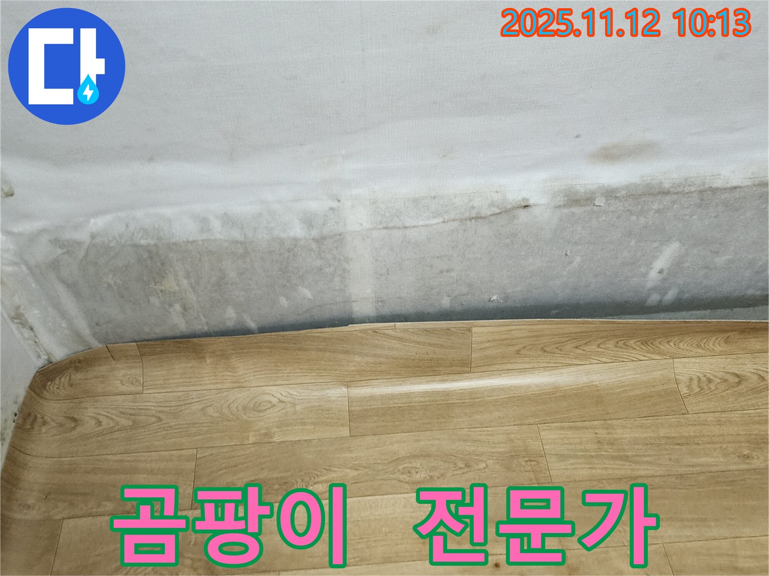 무봉리 누수 현장 - 곰팡이 핀 벽과 들뜬 장판, 누수 전문가의 도움이 필요합니다