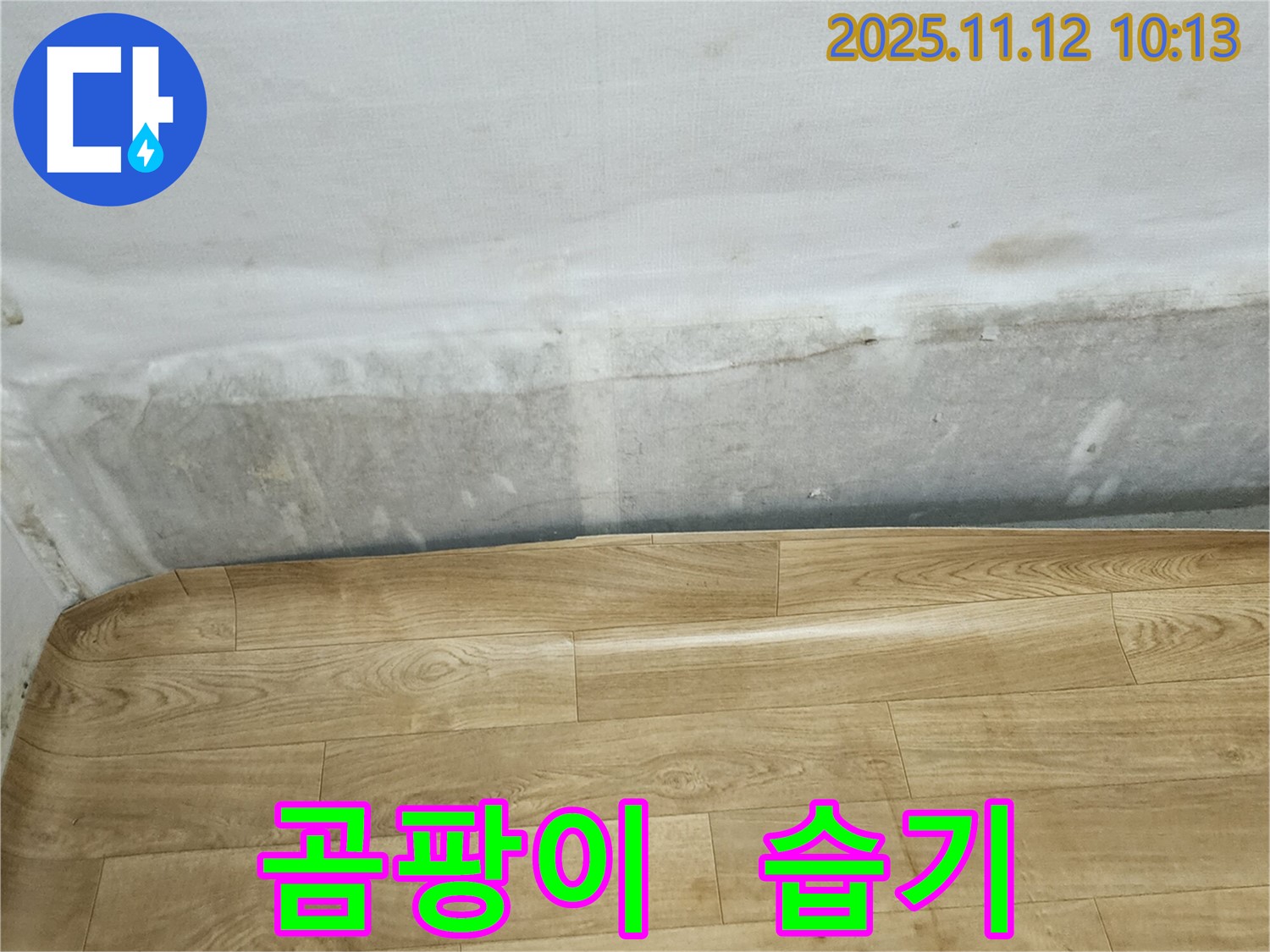 무봉리 누수 현장 - 곰팡이와 습기로 가득한 벽과 들뜬 장판, 누수 전문가와 상담하세요.