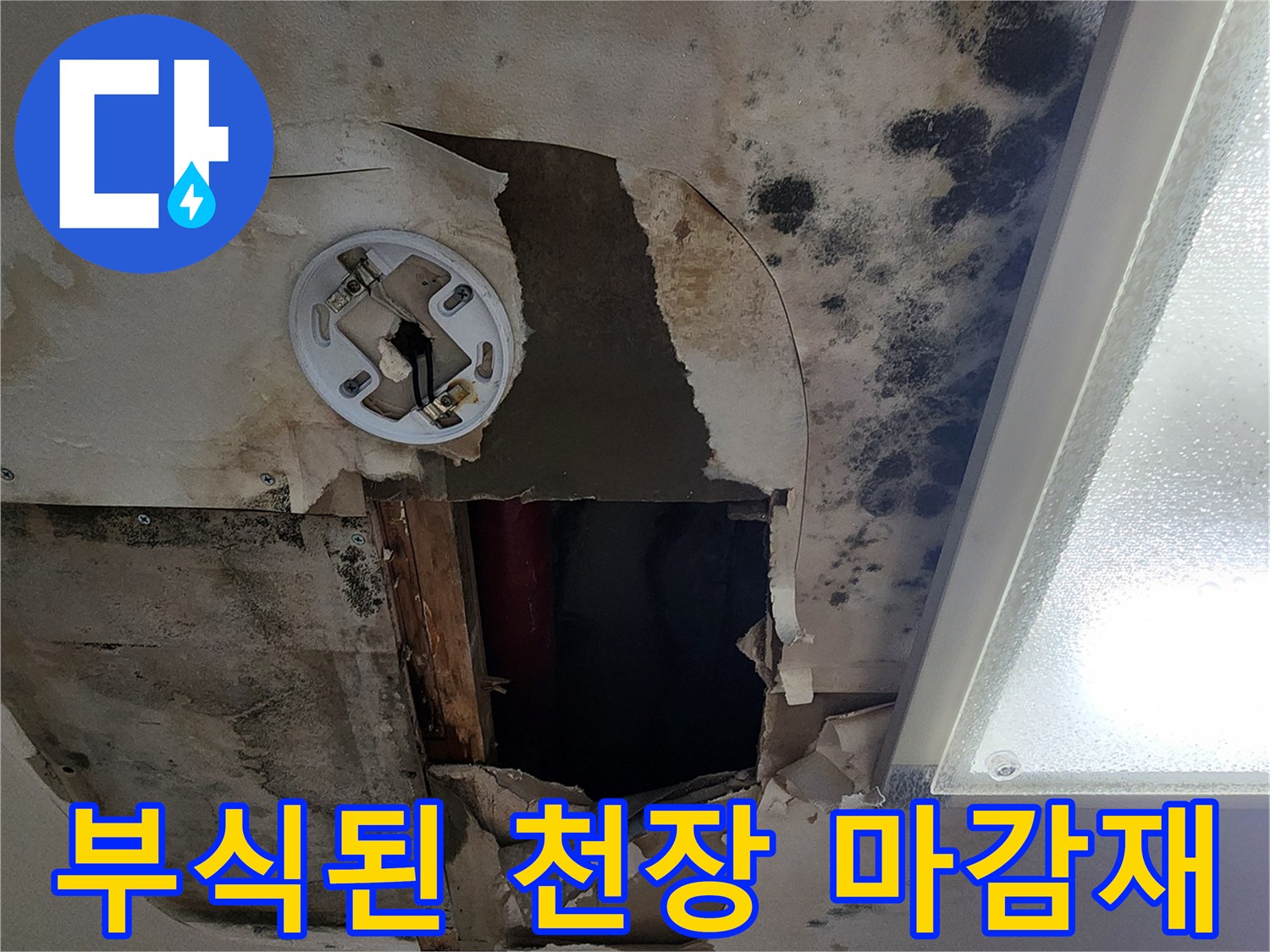 물에 젖어 부풀어 오른 천장 석고보드와 곰팡이
