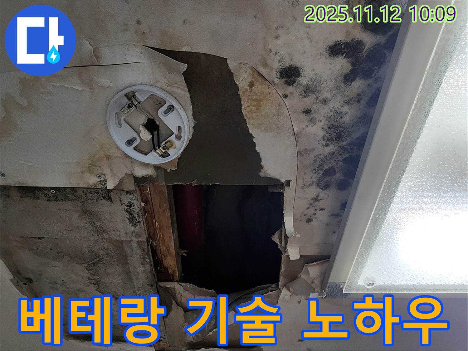 베테랑 기술자의 누수 해결 노하우 - 오랜 경험과 숙련된 기술로 누수 문제 해결