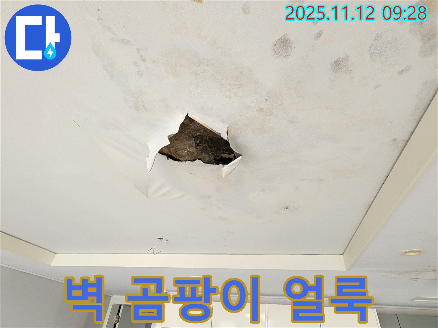 벽 곰팡이 얼룩 - 찢어진 벽지 주변에 곰팡이가 피고 얼룩덜룩한 누수 흔적을 보여주는 사진입니다.