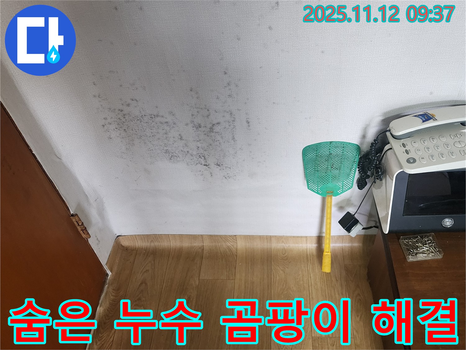 벽에 핀 곰팡이 - 누수탐지로 숨겨진 누수 원인을 찾아 곰팡이 문제를 해결합니다.