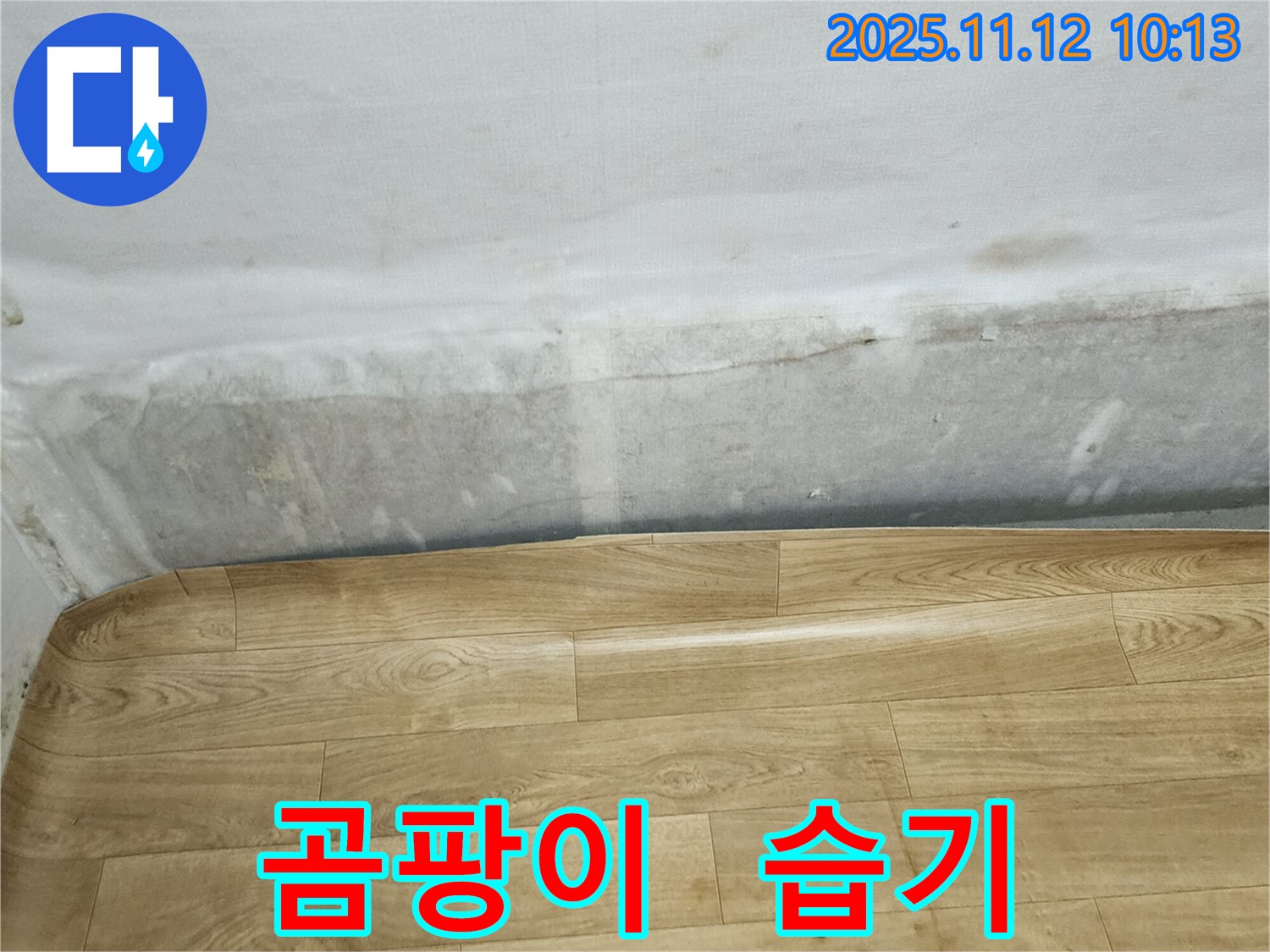 소흘읍 누수 현장 - 곰팡이 핀 벽과 장판 밑 습기, 누수 원인부터 해결까지 책임집니다