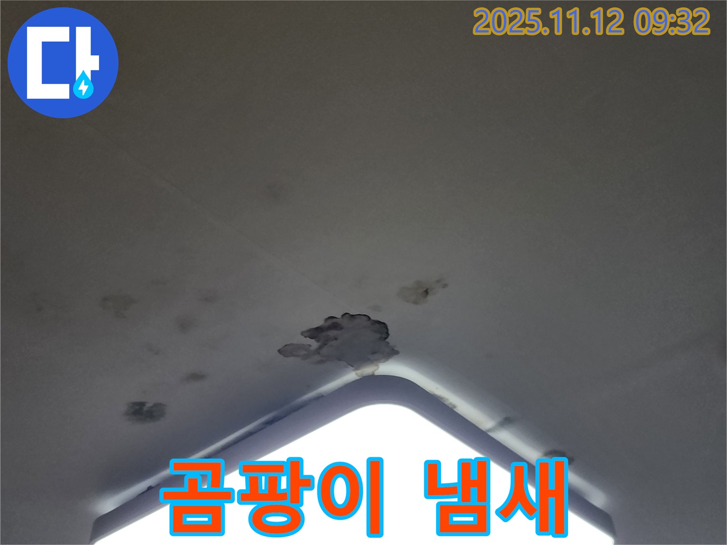 소흘읍 무봉리 천장 누수 - 곰팡이 냄새, 건강을 위협