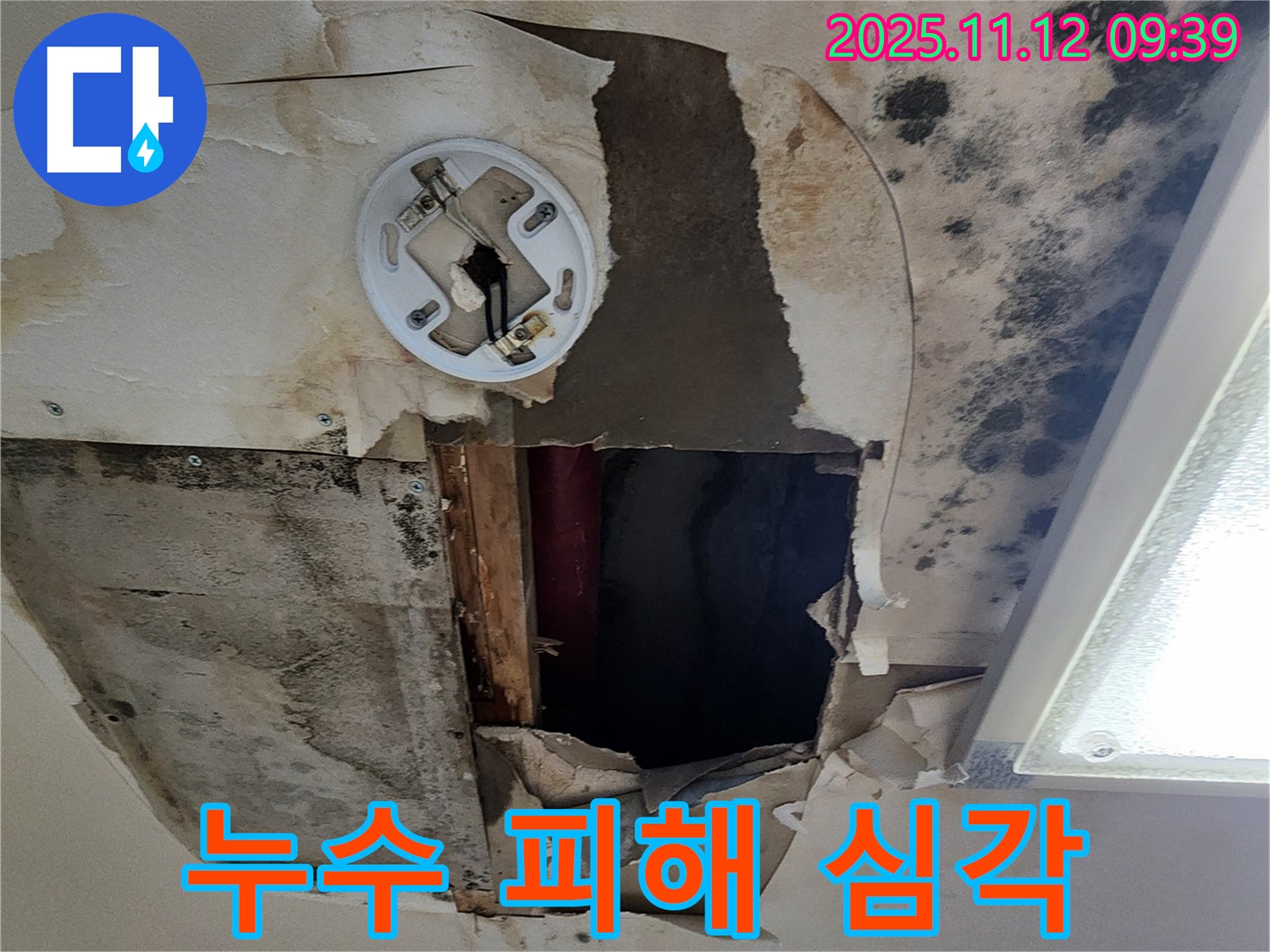 심각한 누수 피해 - 천장 손상, 곰팡이 발생, 전기 설비 위험 등 복합적인 문제 발생 가능성