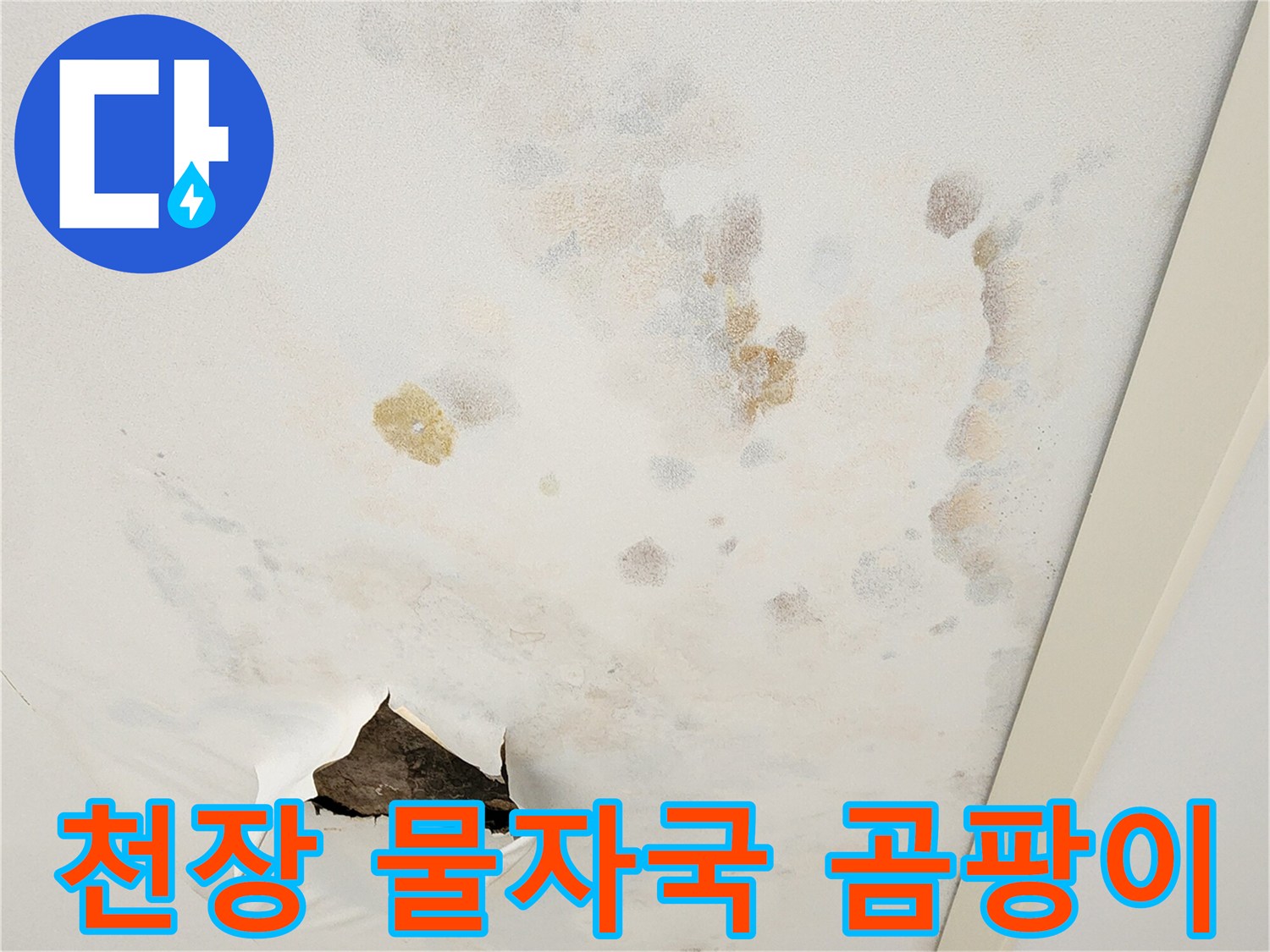 아파트-거실-천장-벽지-물얼룩-및-곰팡이-발생-상태