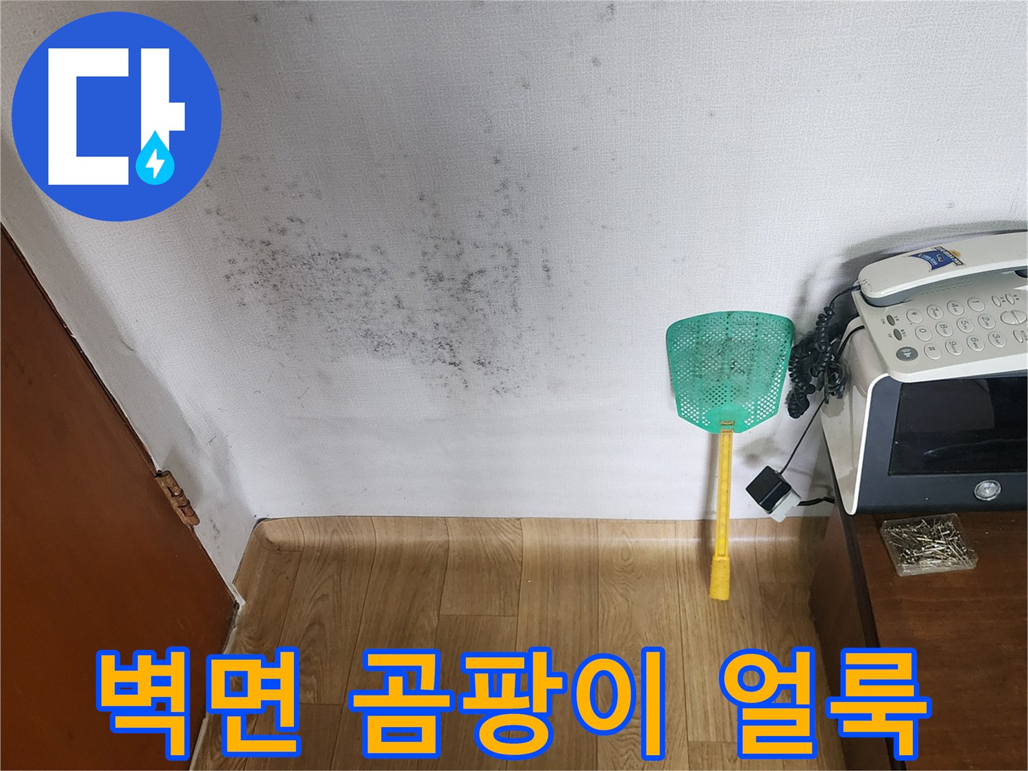 아파트 내부 벽면에 발생한 검은색 곰팡이와 습기 흔적