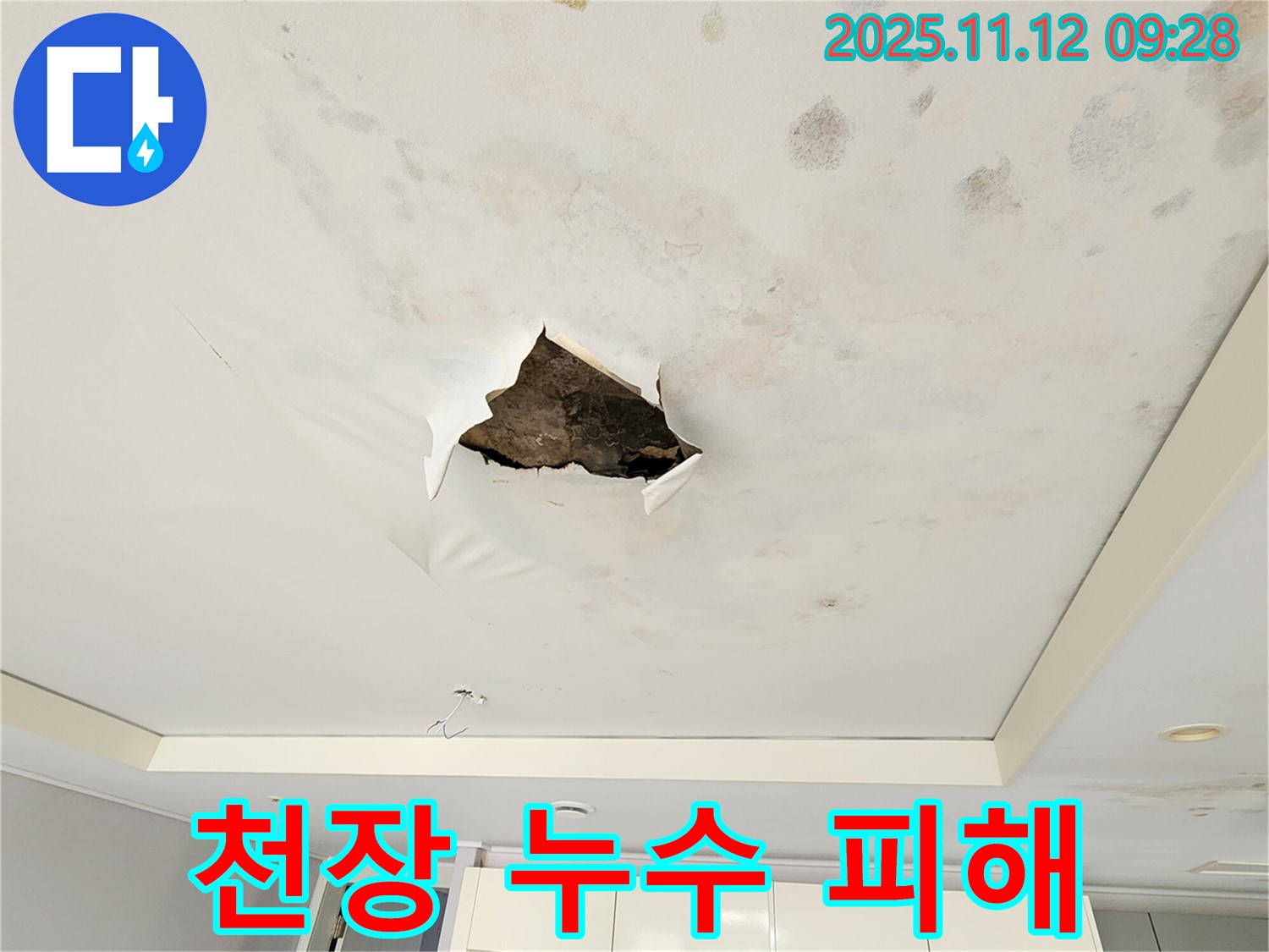 천장 누수 피해 - 석고보드 천장이 누수로 인해 심하게 변색되고 훼손된 전체적인 모습을 보여주는 사진입니다.