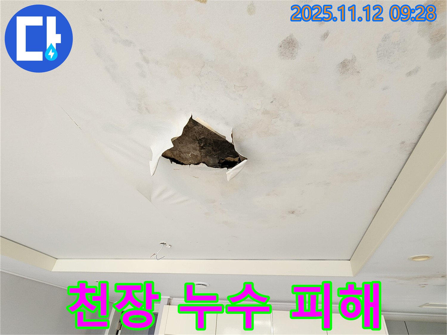 천장 누수 피해 - 천장 벽지가 젖어 곰팡이가 피고, 누수로 인한 피해가 심각한 상황을 보여주는 사진입니다.