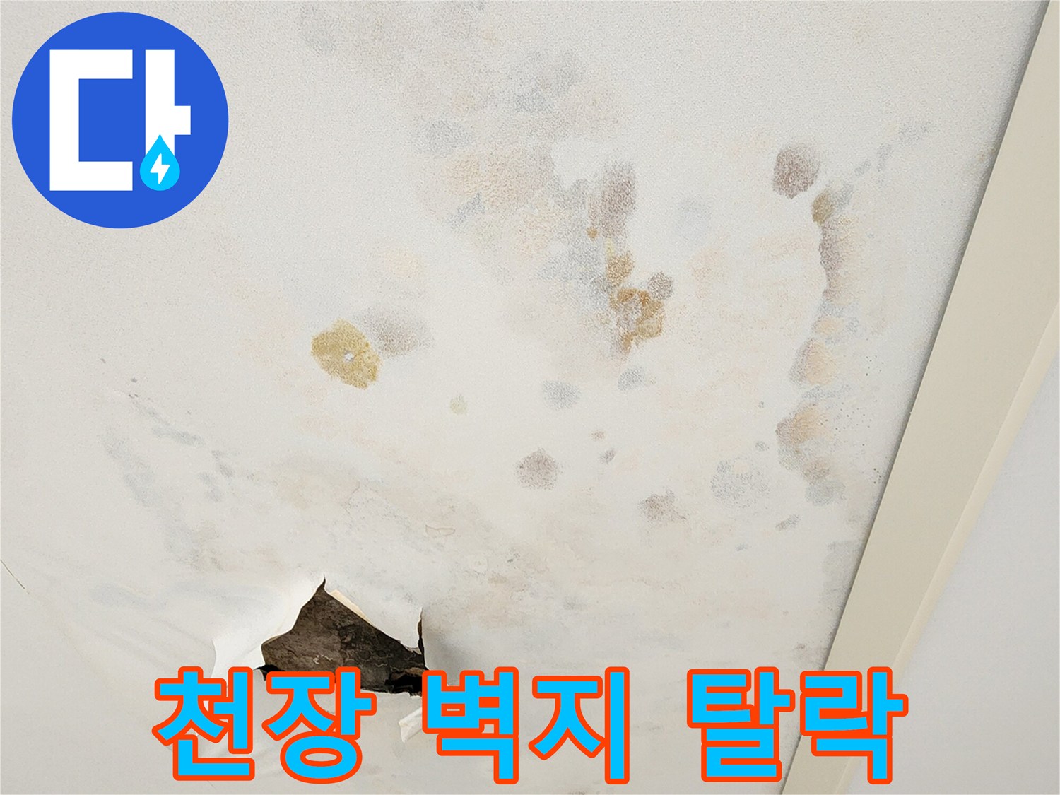 천장-벽지가-들뜨고-찢어진-누수-현장-모습