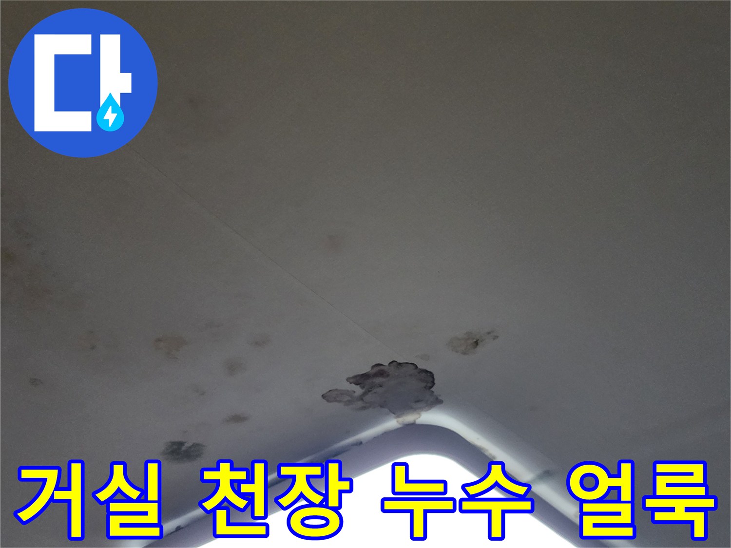 천장 조명 옆으로 번져나간 곰팡이와 물 얼룩의 모습