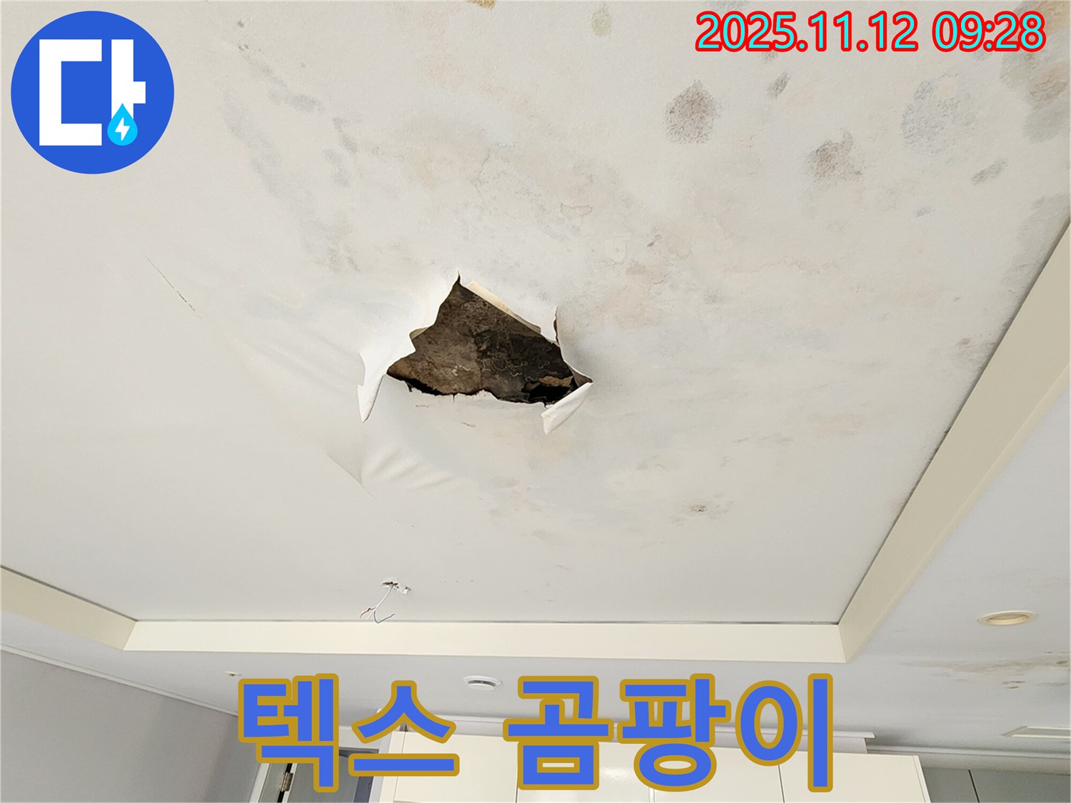 텍스 곰팡이 - 텍스 구멍 주변에 곰팡이가 피고 얼룩덜룩한 누수 흔적을 보여주는 사진입니다.