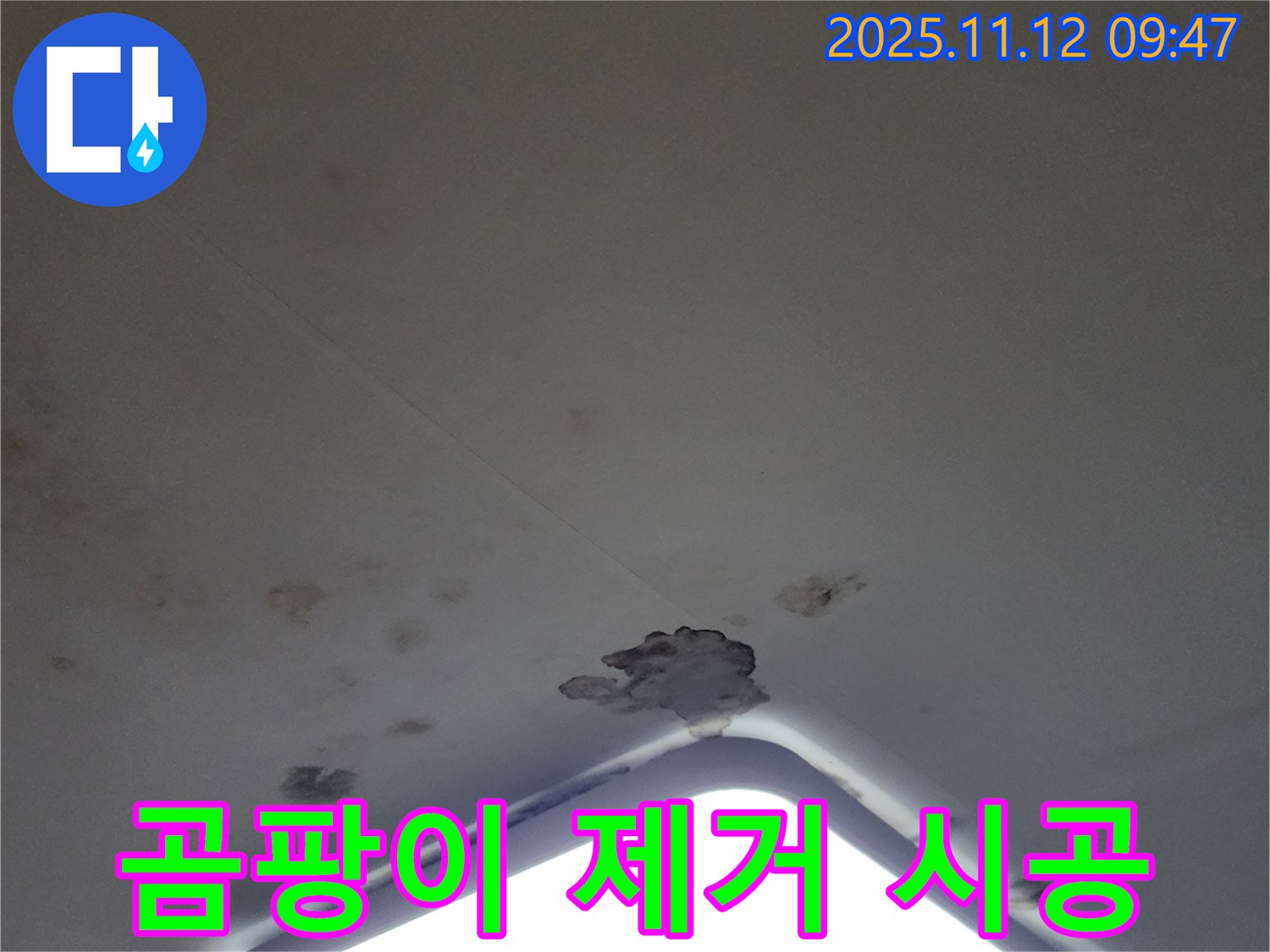 포천 소흘읍 - 곰팡이 핀 천장, 석고보드 교체와 곰팡이 제거 완벽 시공
