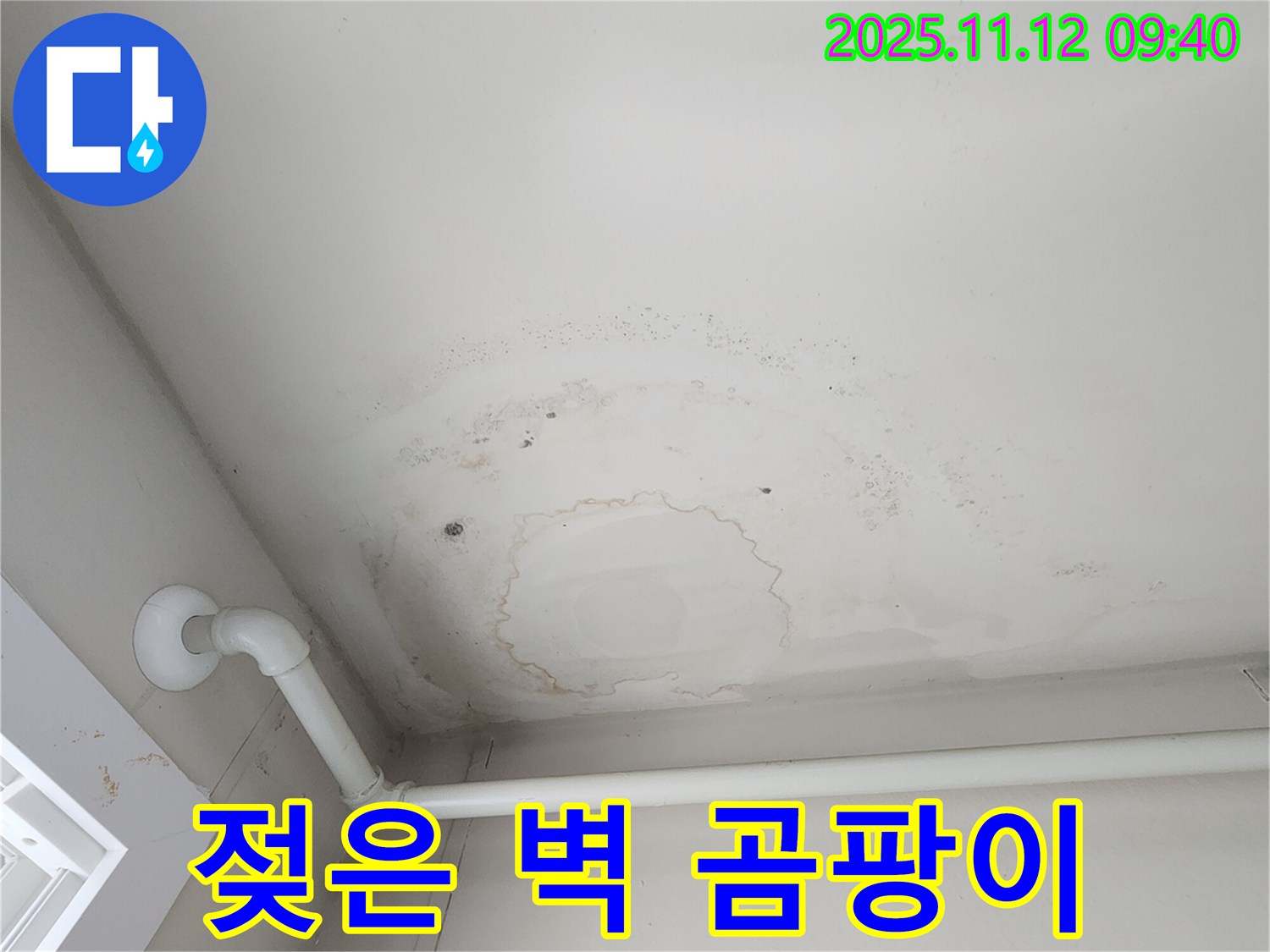 포천 소흘읍 누수 - 젖은 벽, 곰팡이, 악취... 전문가 필요!