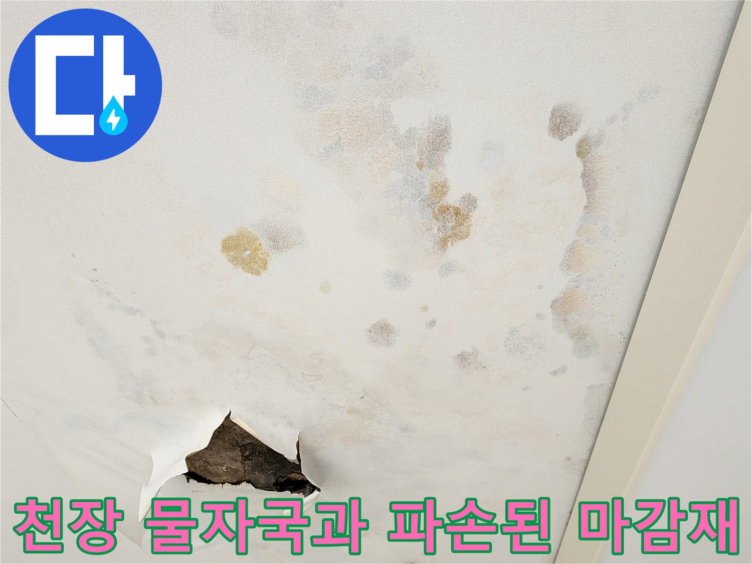 포천 소흘읍 아파트 천장 벽지의 곰팡이 흔적과 누수로 인해 뜯겨나간 마감재 모습