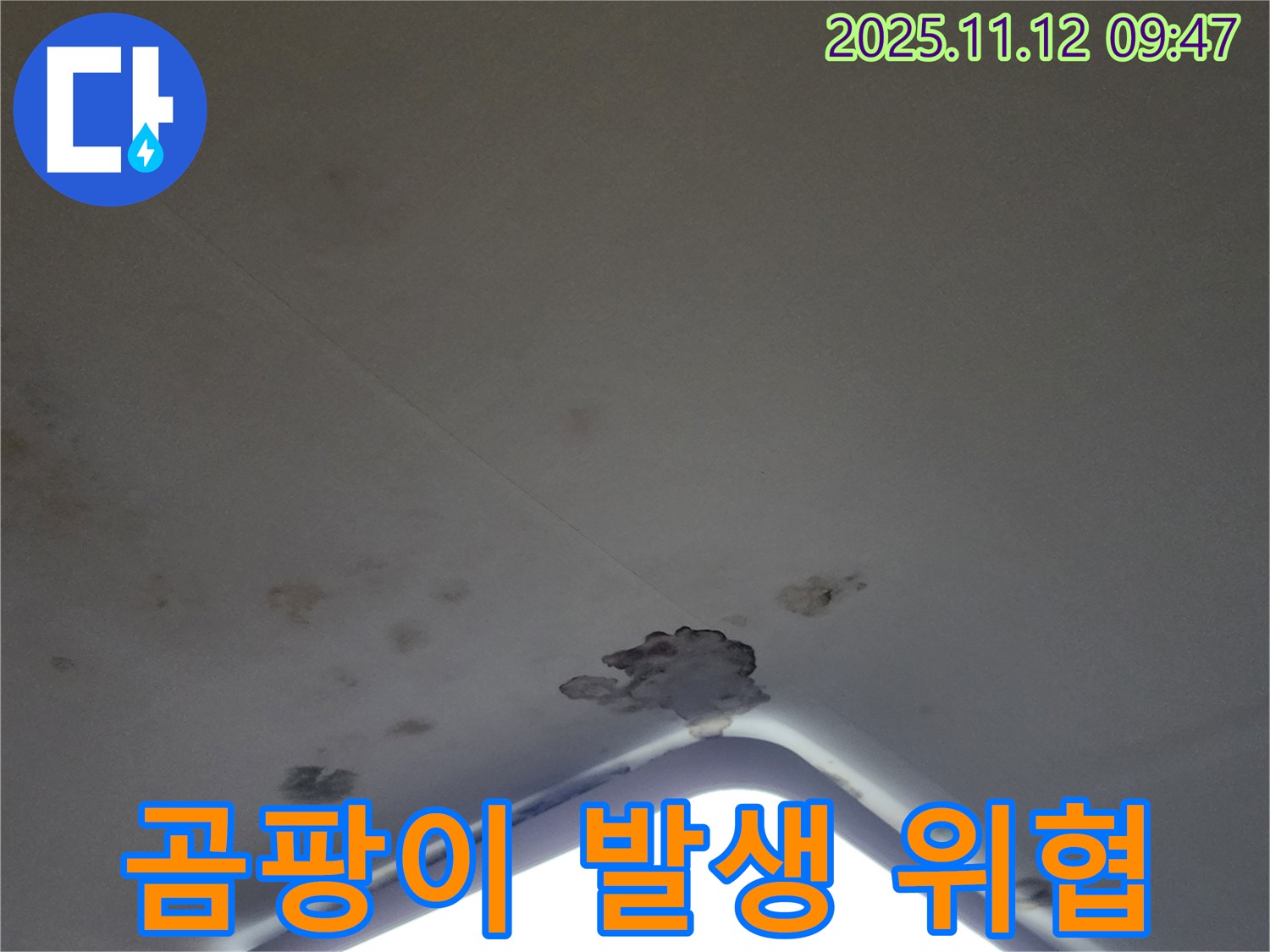 포천 소흘읍 - 천장 조명 주변 곰팡이 발생, 건강 위협