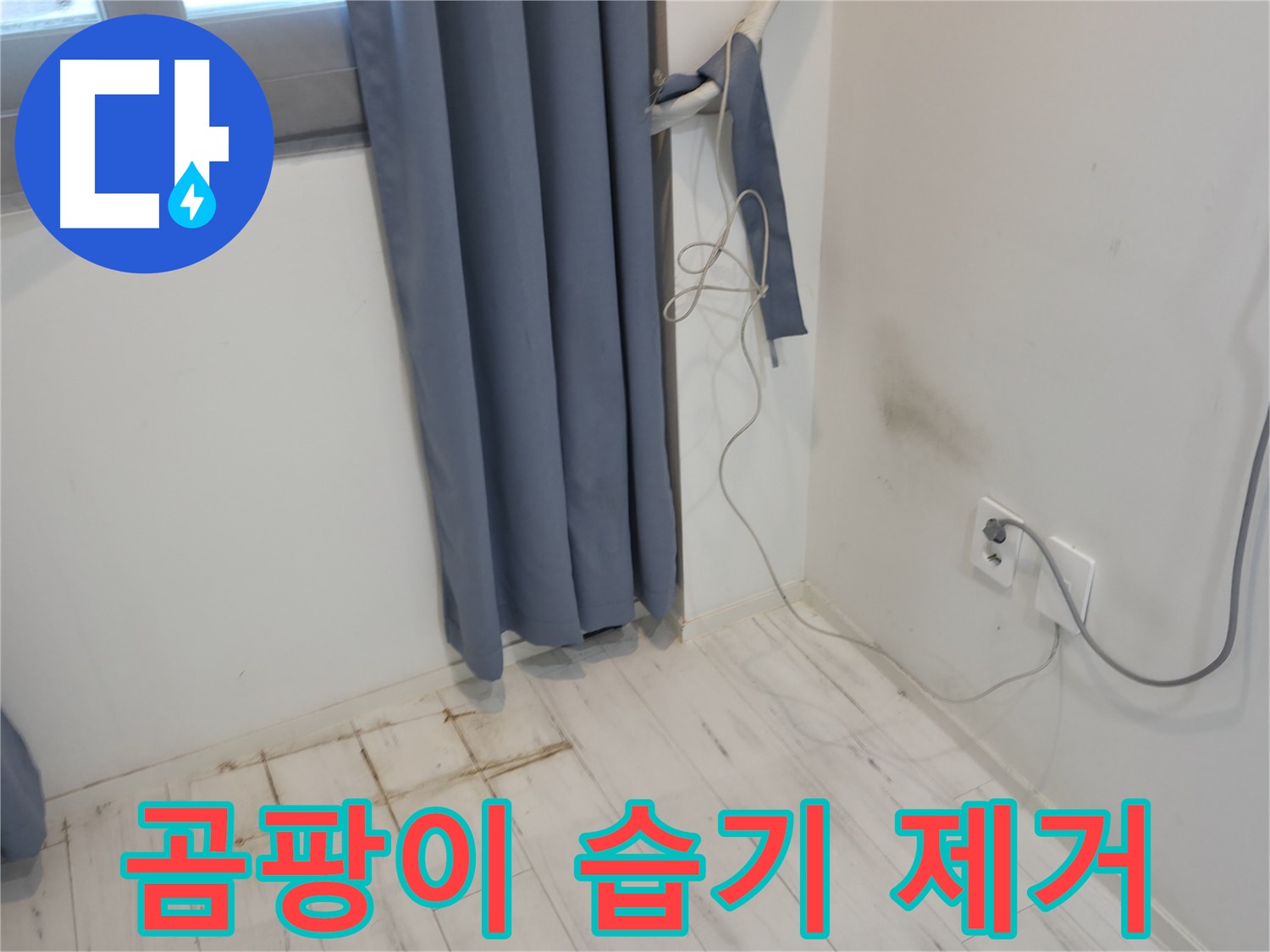 관악구 누수 - 곰팡이와 습기 제거 시공 - 쾌적한 환경 위한 누수 방지