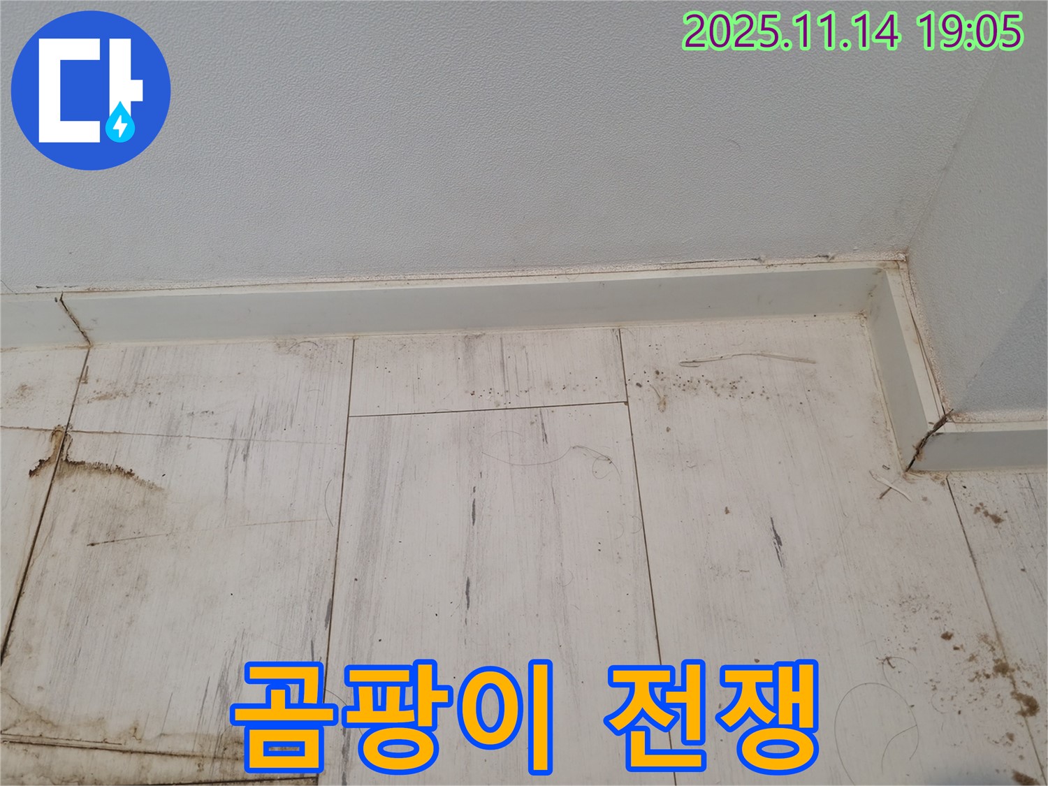 신림 누수 - 젖은 장판, 곰팡이와의 전쟁!
