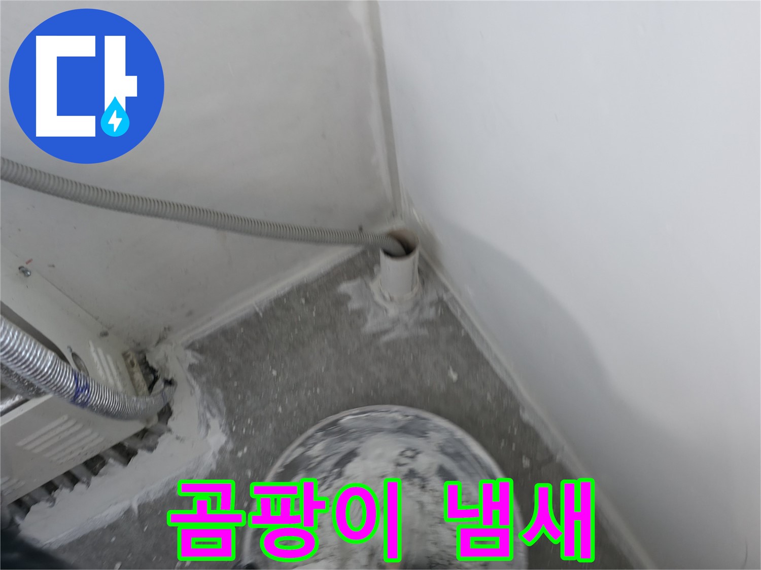 신림 하이츠빌라 - PVC 배관 주변 곰팡이 냄새 - 누수 경고