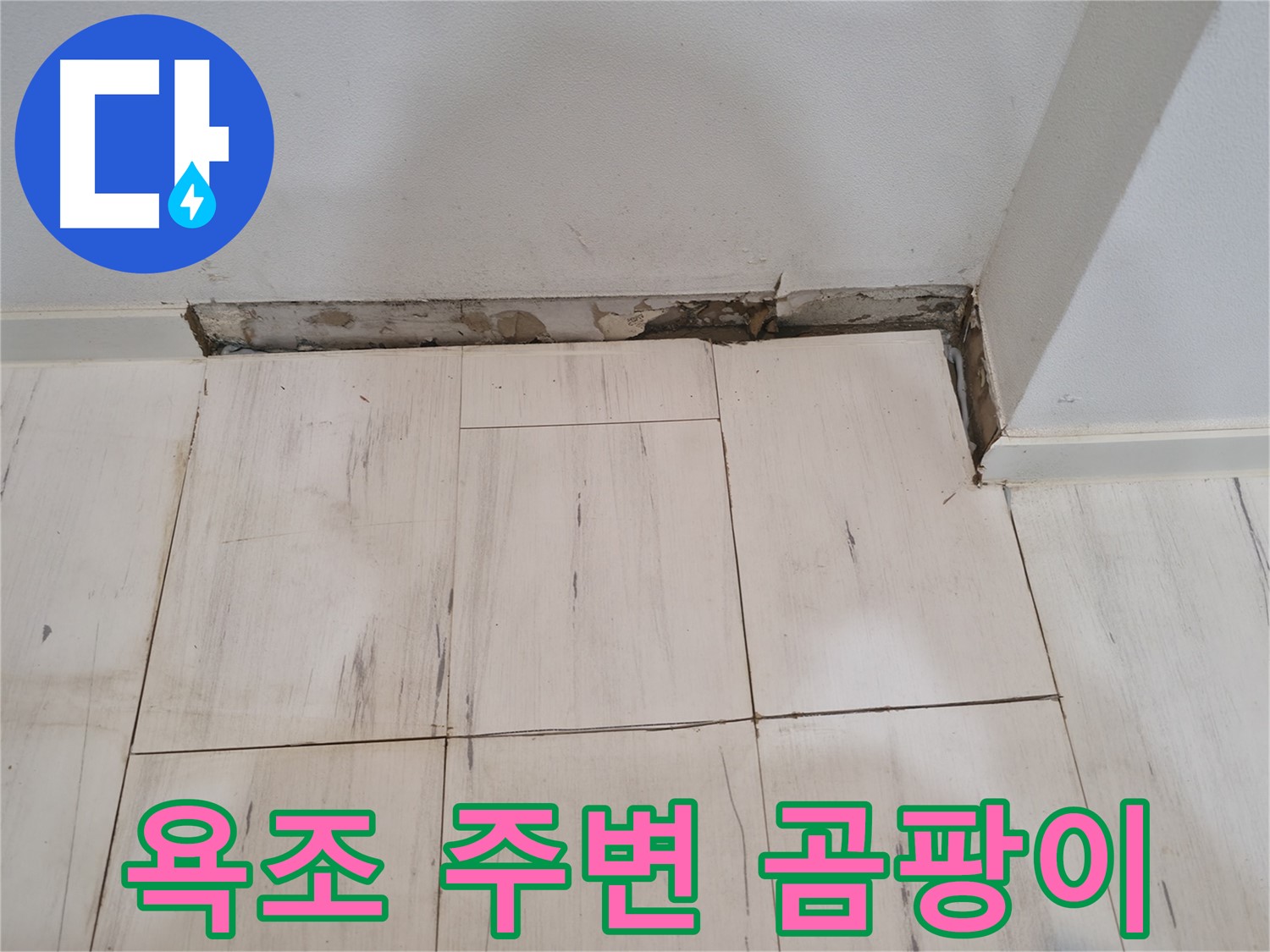 신림동 관악구 누수 - 욕조 주변 곰팡이 확인 - 찝찝한 상황