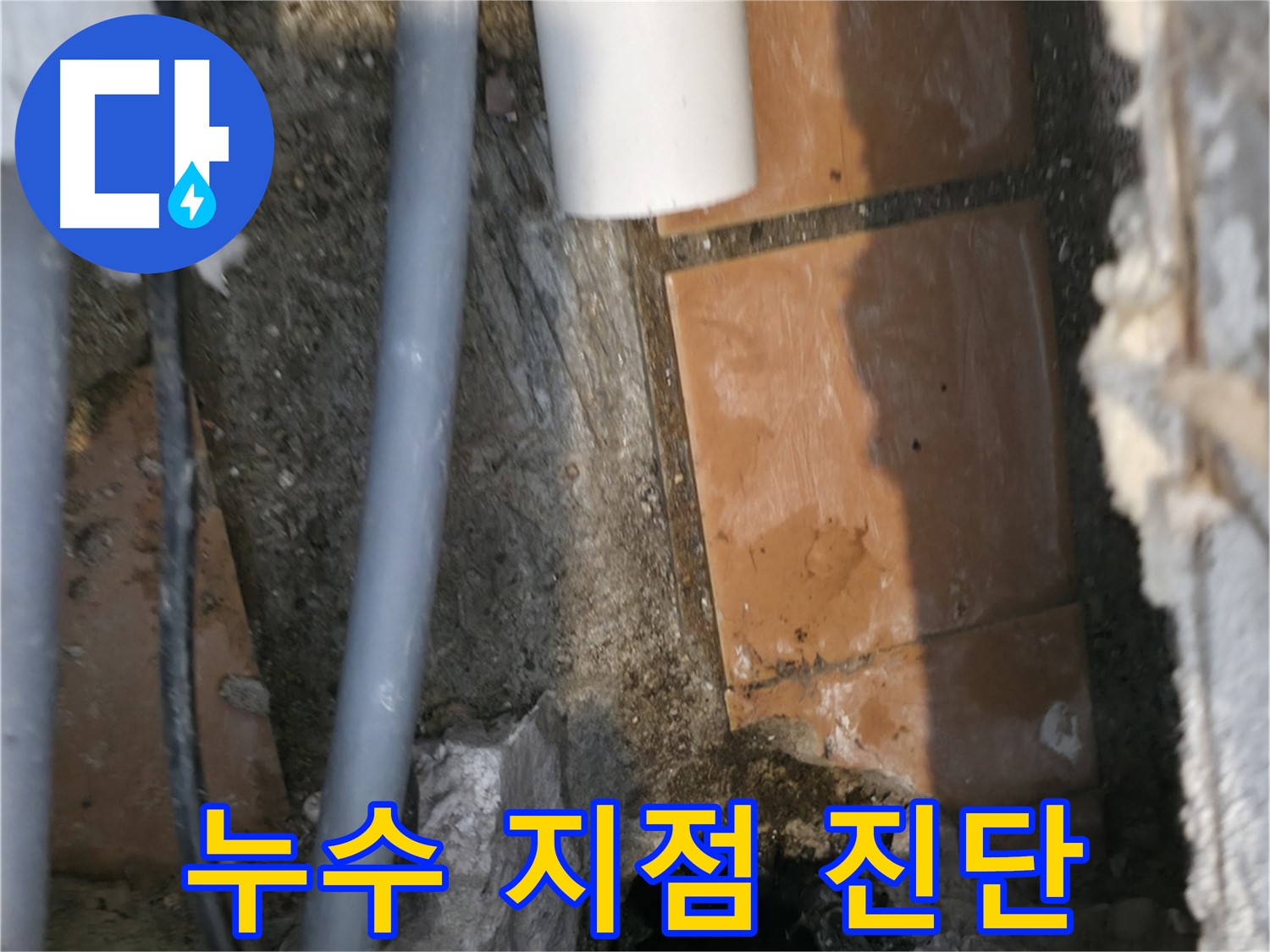 신림동 누수 - 누수 지점 완벽 진단 완료 - 이제 해결만 남았습니다