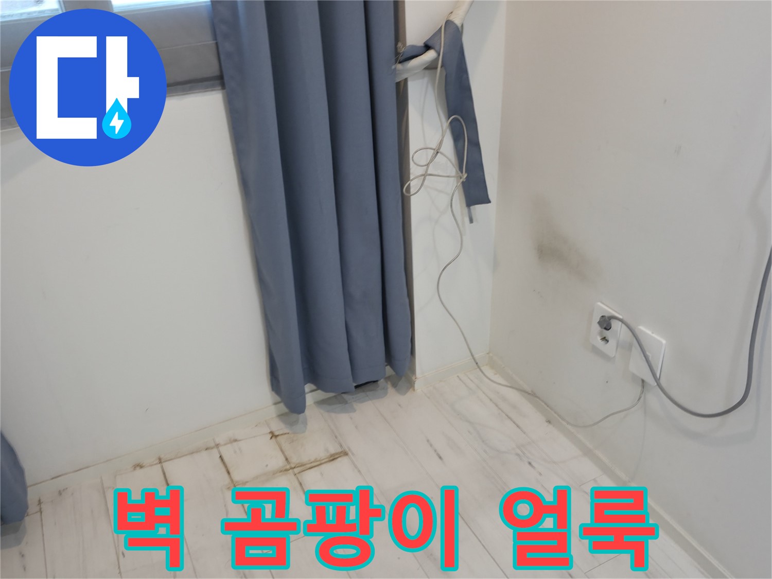 신림동 누수 - 벽 곰팡이 얼룩 문제 - 원인 분석 및 누수 해결 과정