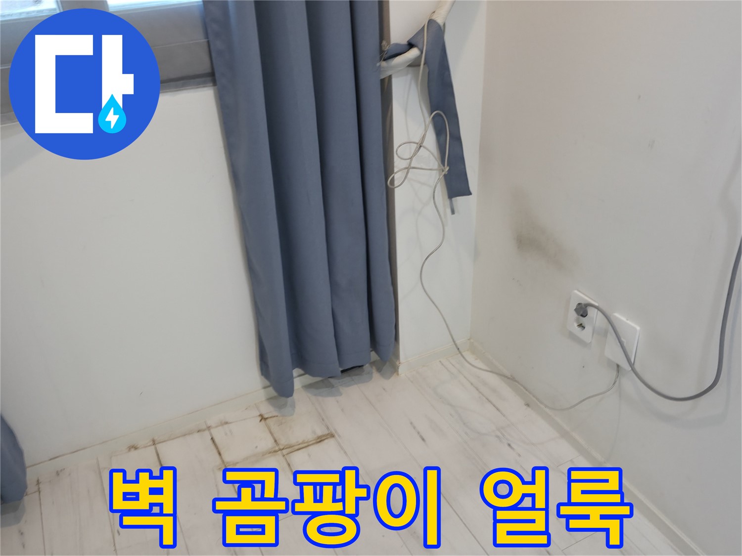 신림동 누수 - 벽 곰팡이 얼룩 문제 - 원인 분석 및 누수 해결 과정