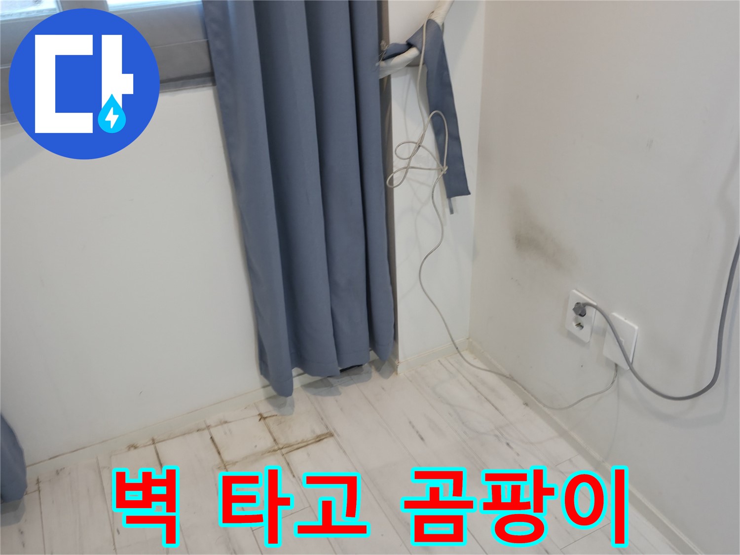 신림동 누수 - 벽 타고 내려오는 곰팡이 발견 - 누수 원인 파악 긴급 점검
