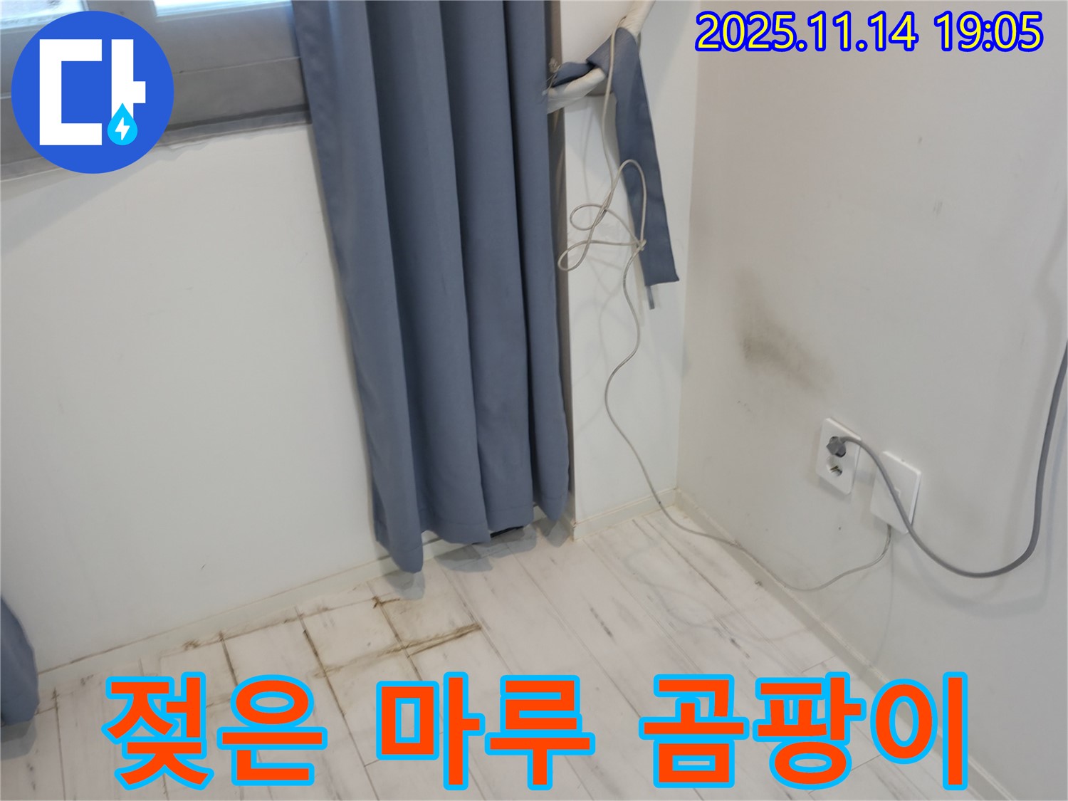 신림동 누수 - 젖은 마루와 곰팡이 냄새 - 누수 초기 진단